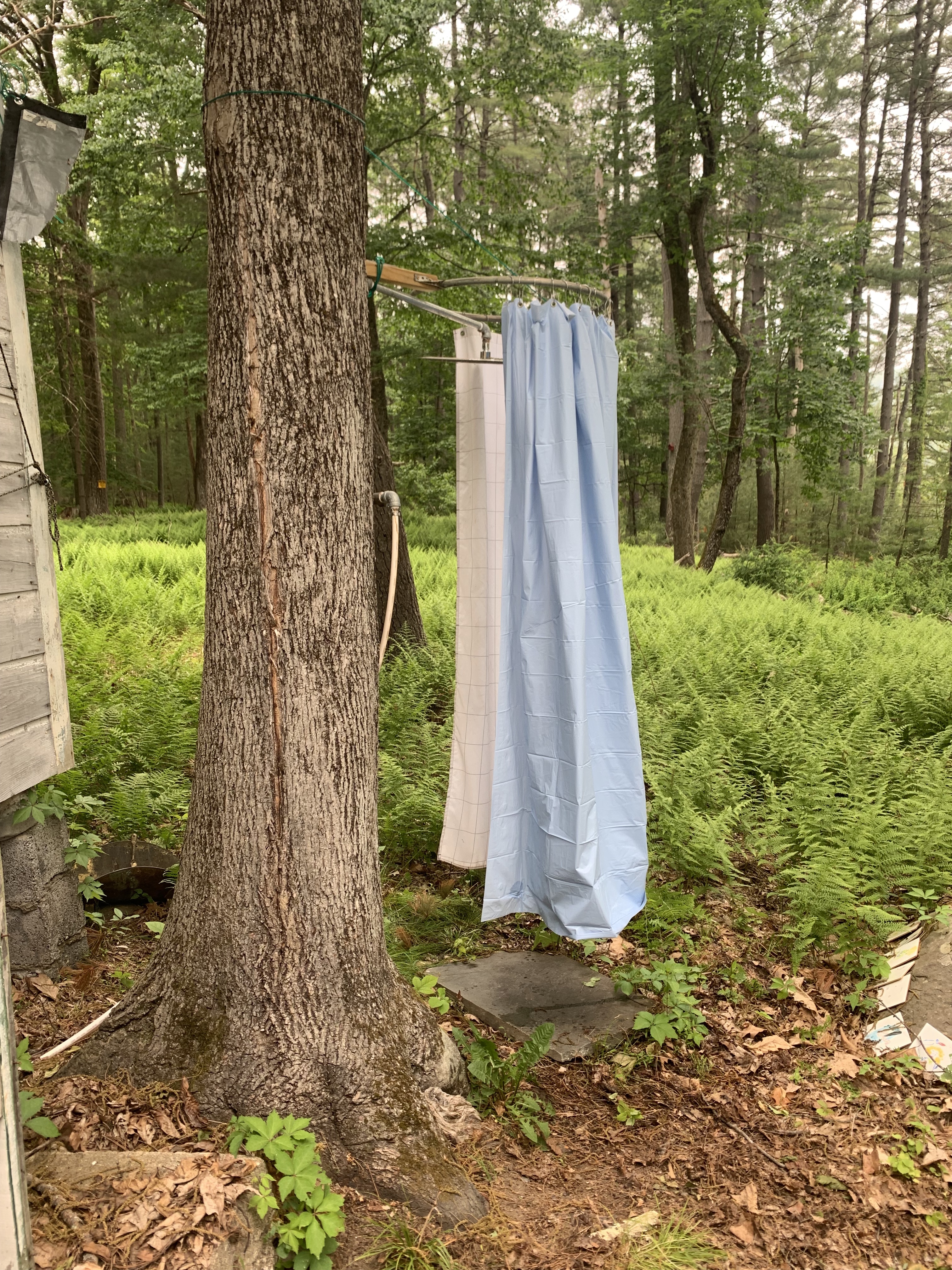 Alex, Cuddebackville