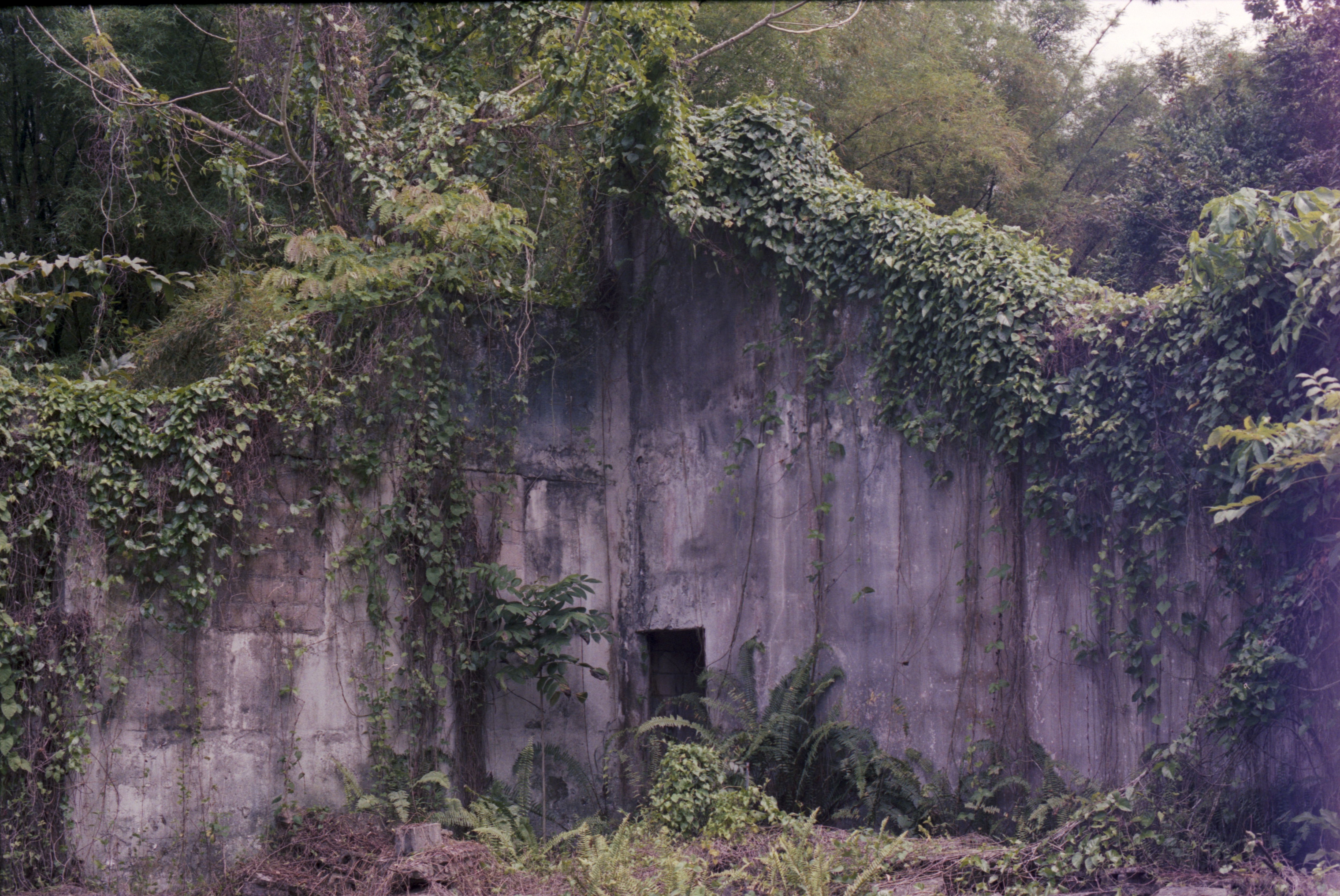 Rio Grande, Puerto Rico, 2017
