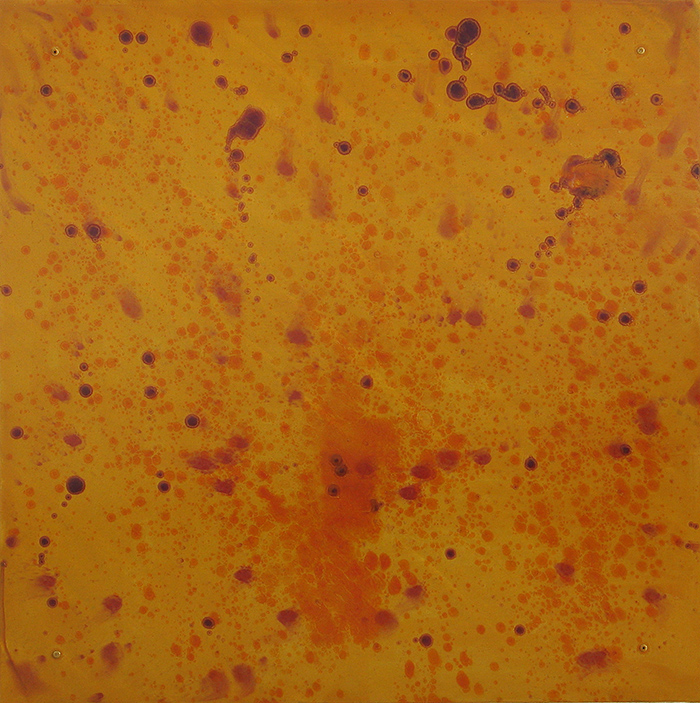 FloatLikeaButterflyStingLikeaBee #5, 2003, oil on aluminum, 32"x32