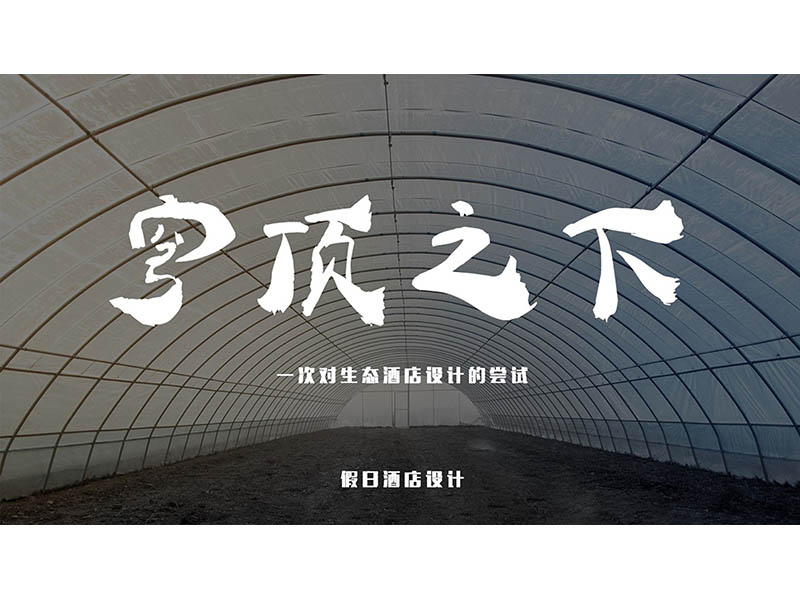 穹顶之下三年级