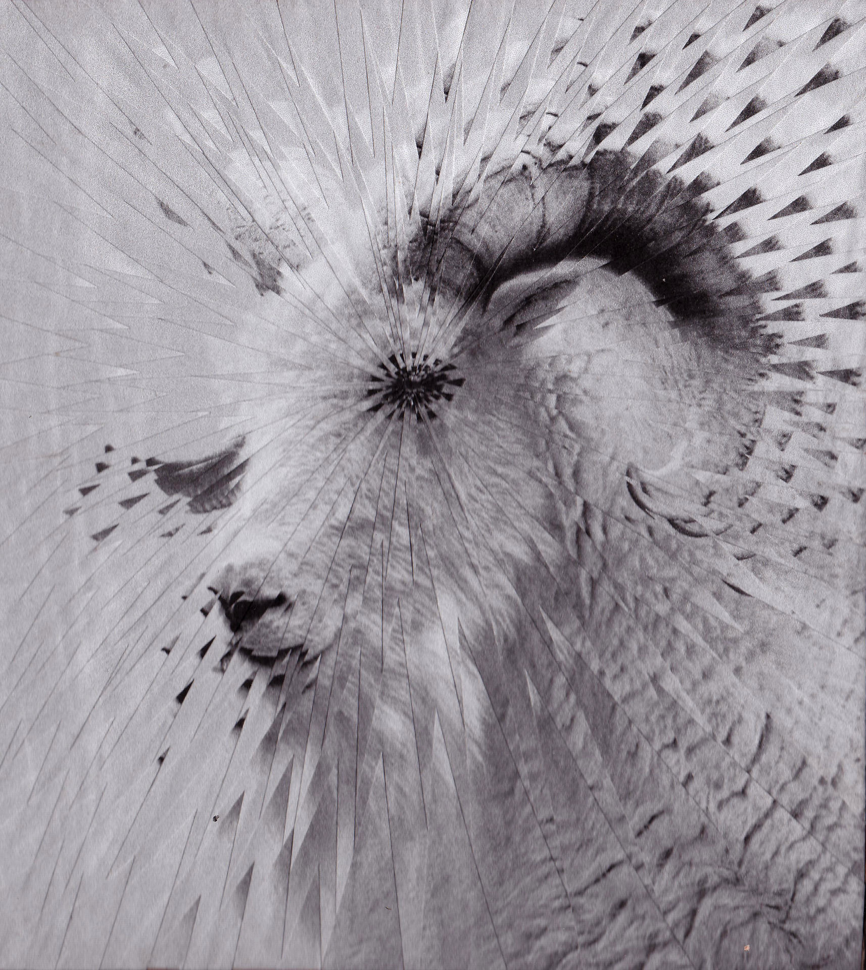 Demonic Goat concept for Penguin, 2016, 10 x 10 inches