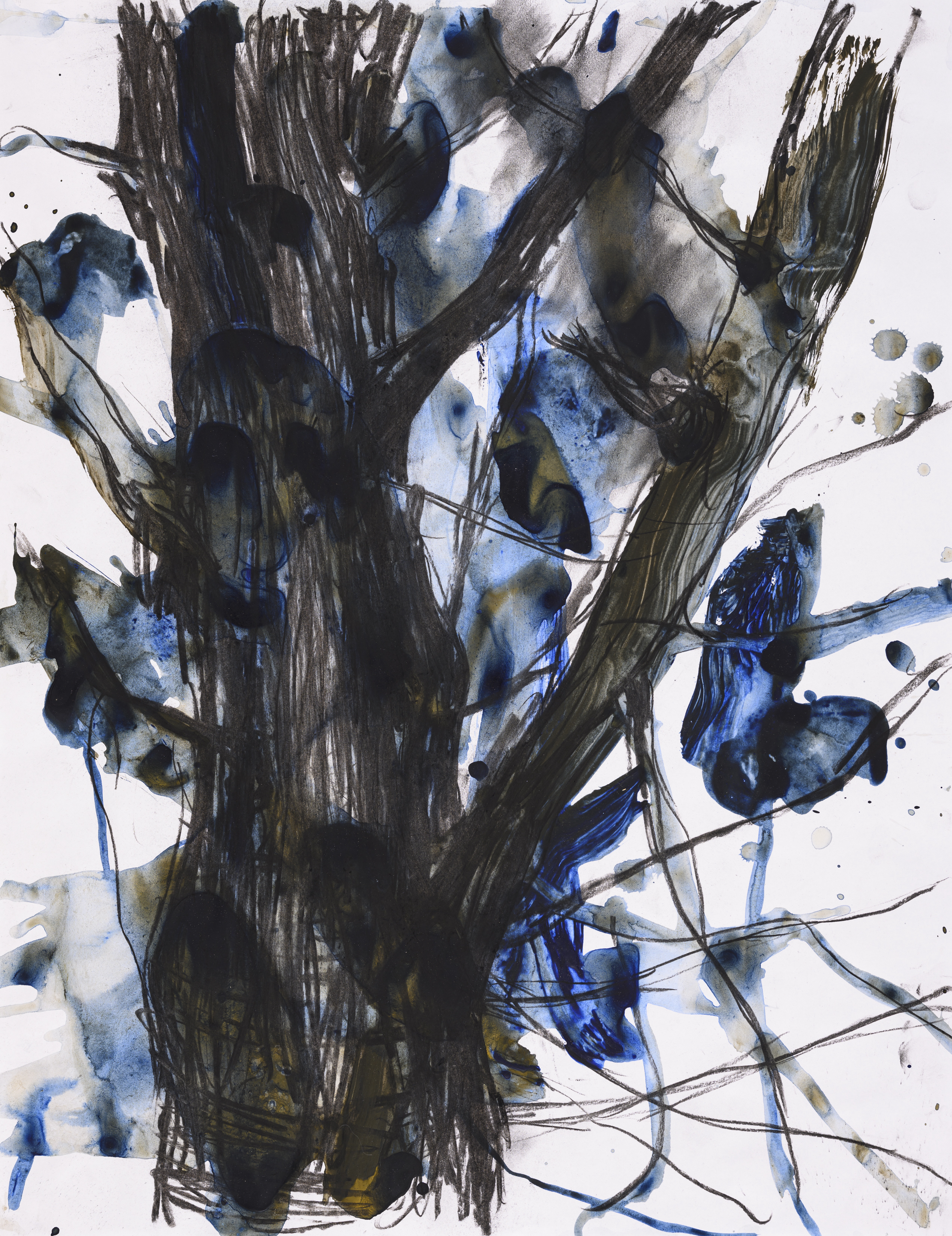 Study of nature 2014Acrylic on paper 65×50cm