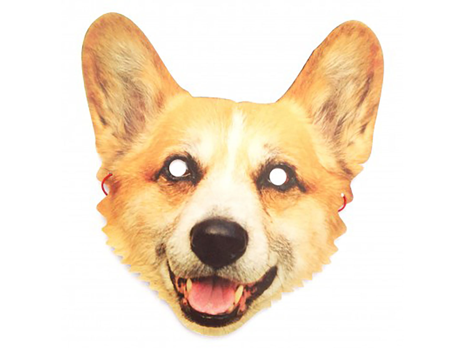 The Royal Collections, London - corgi mask