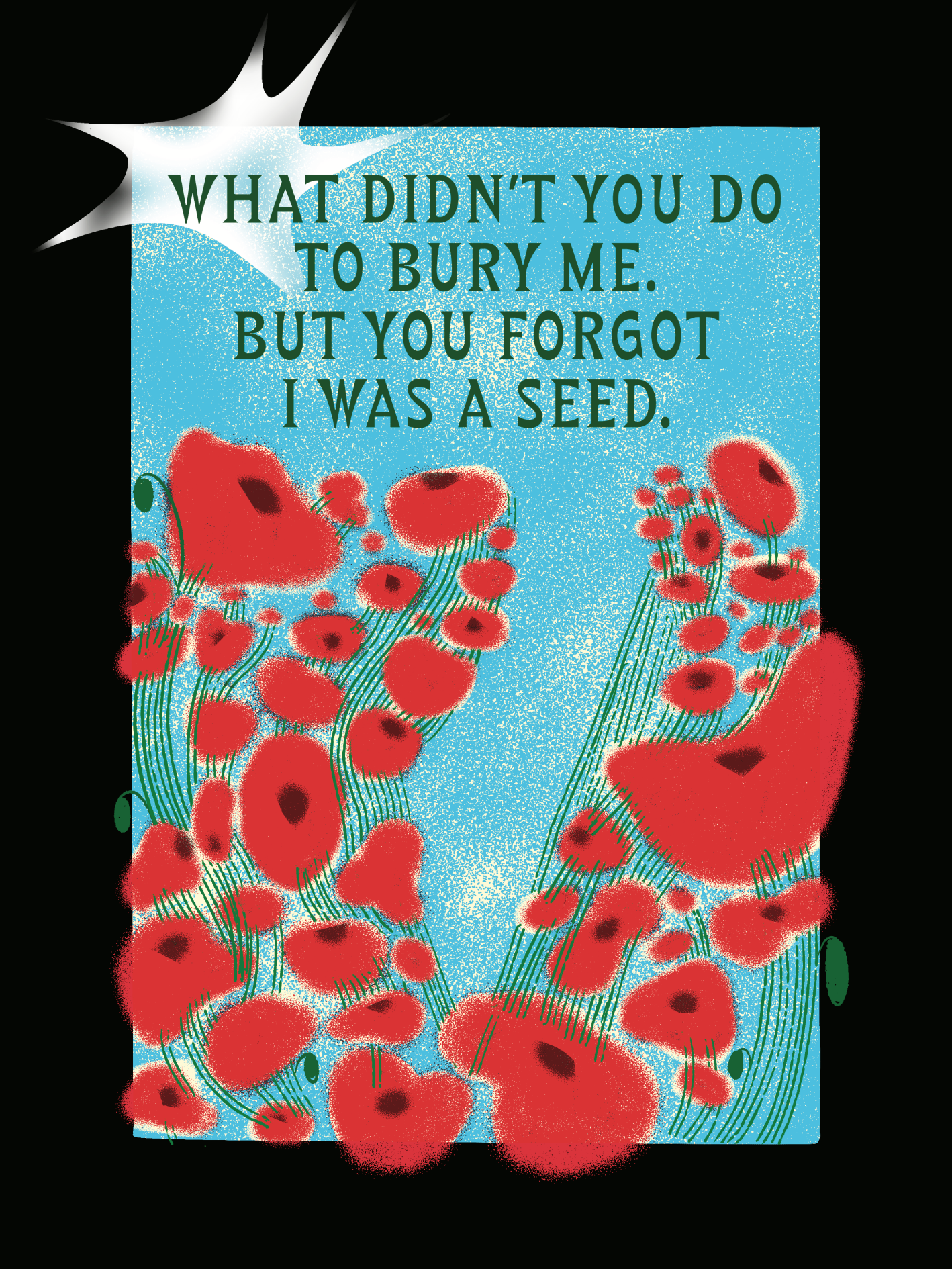 Palestine Fundraiser Poster