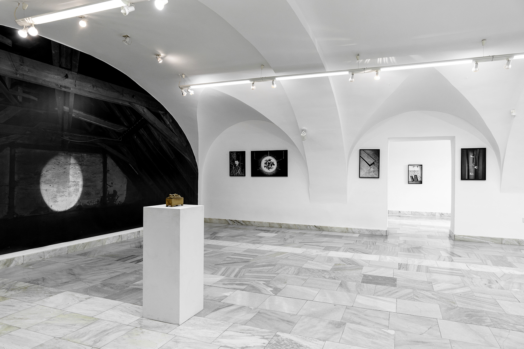 Plexus. Galerie Jiřího Jílka, Šumperk, 2025. With Eugen Ruppert, curated by Pavlína Vogelová.