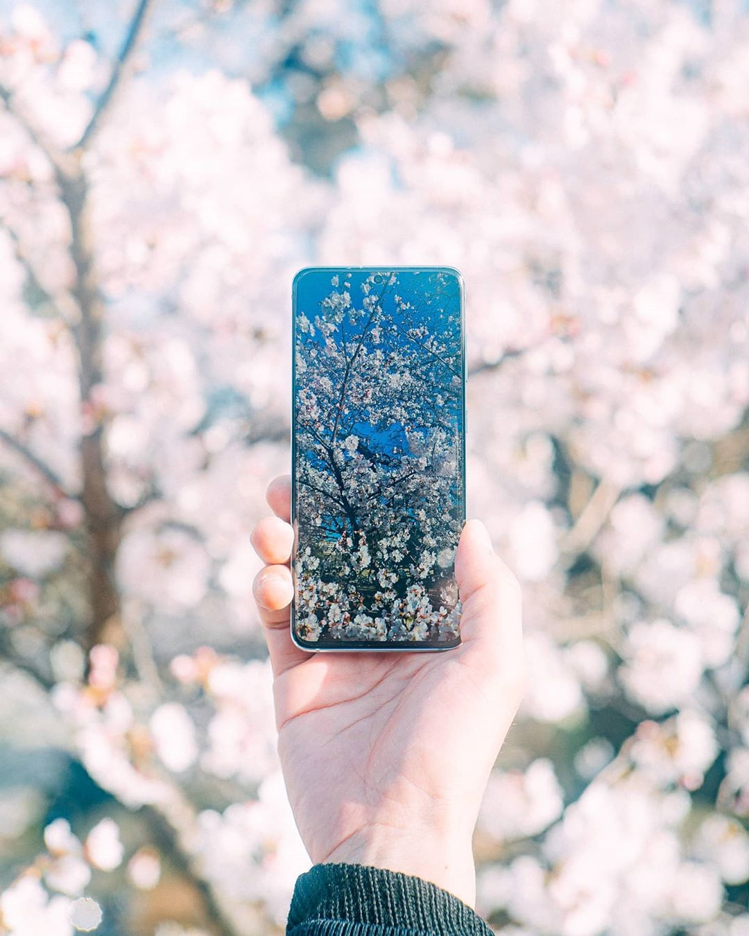 Samsung Galaxy | Content ProductionPhotography: Haru Wagnus