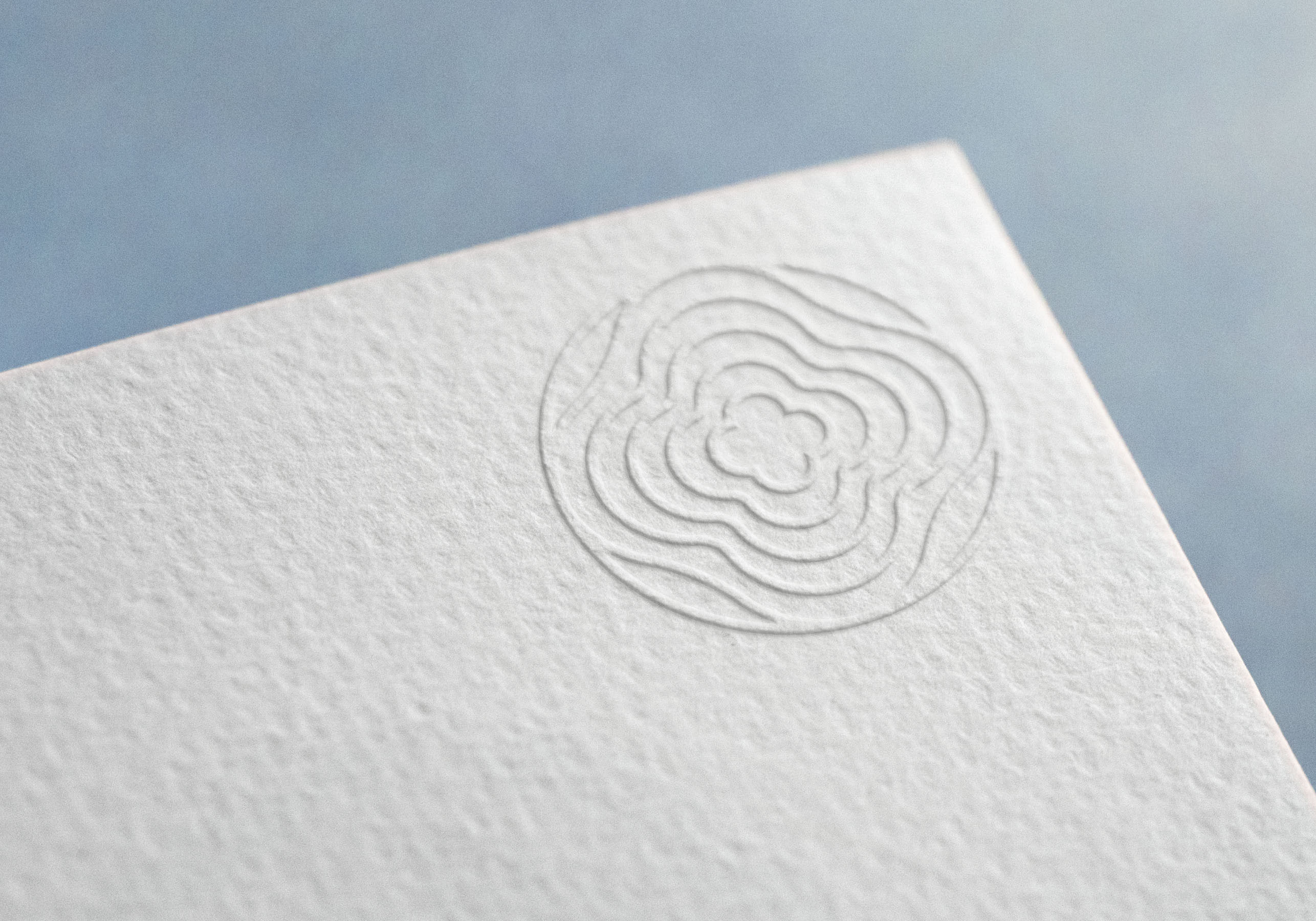 Tien Phuoc Group Identity Design