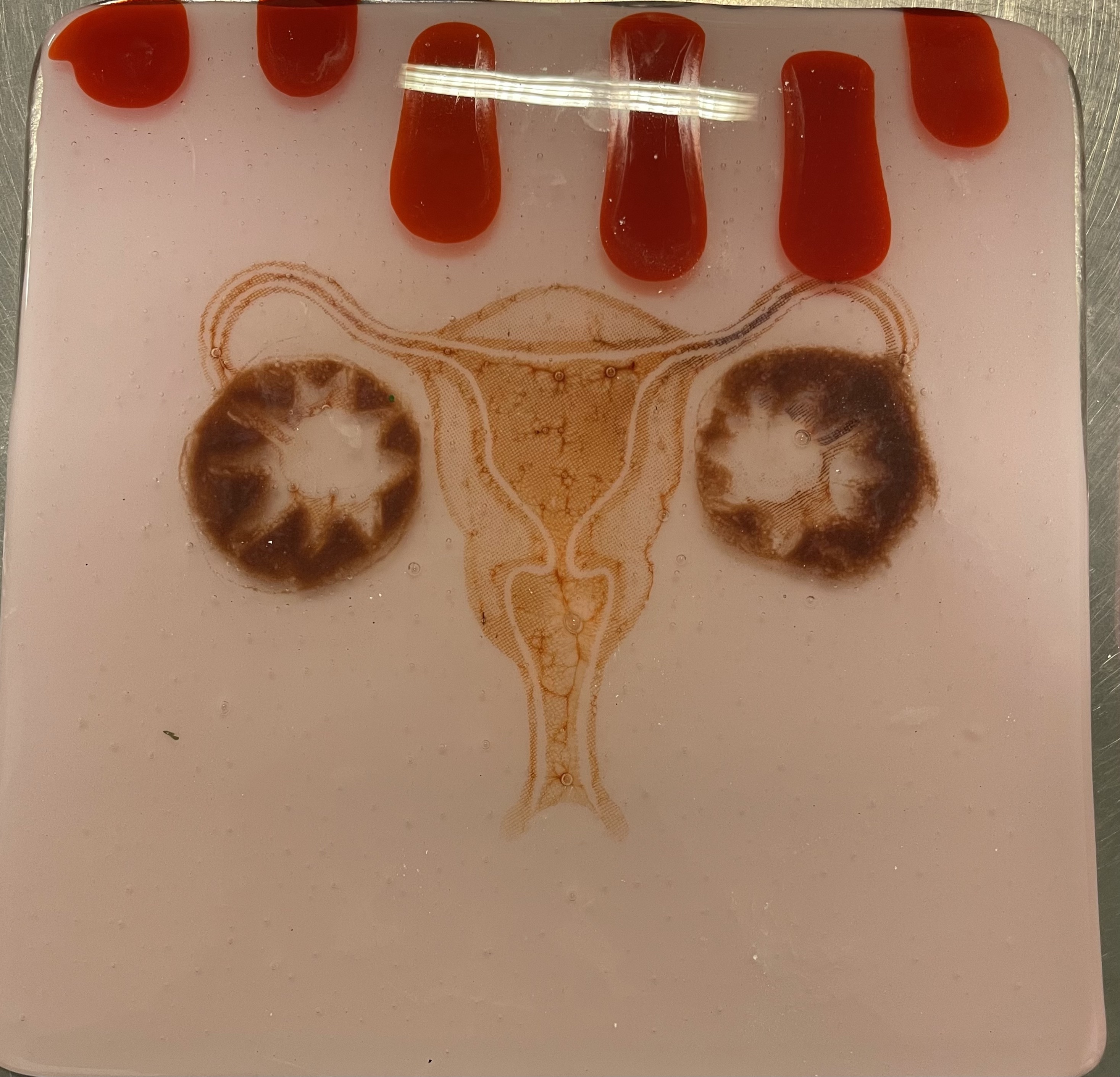 Reproductive System, Glass Panel, 2022