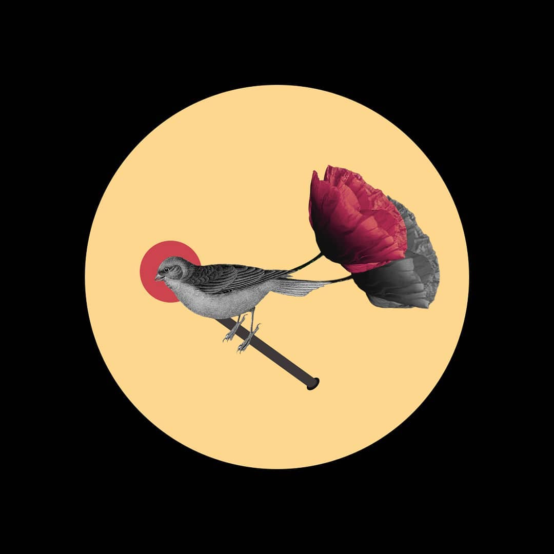 istanbulcollagecollective