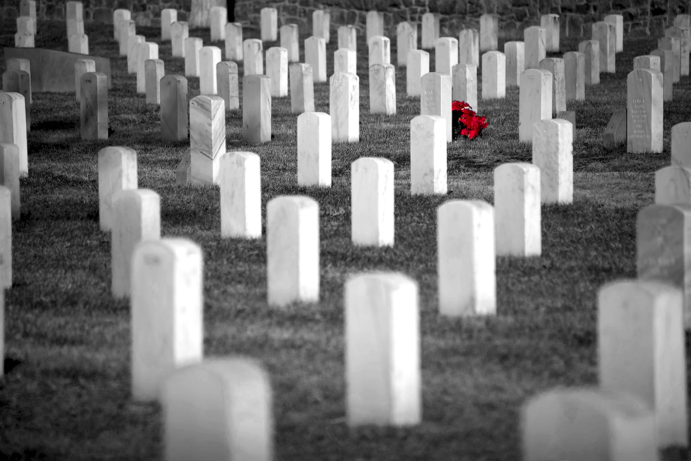 Rose Blood of Remembrance