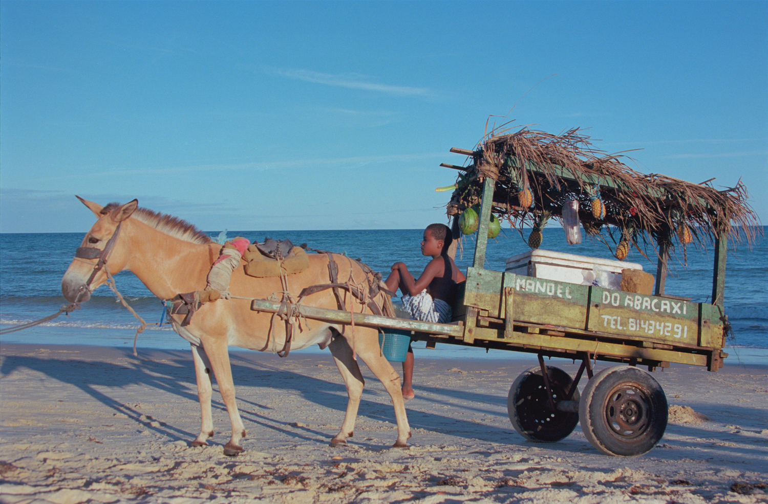 Coconut Cart