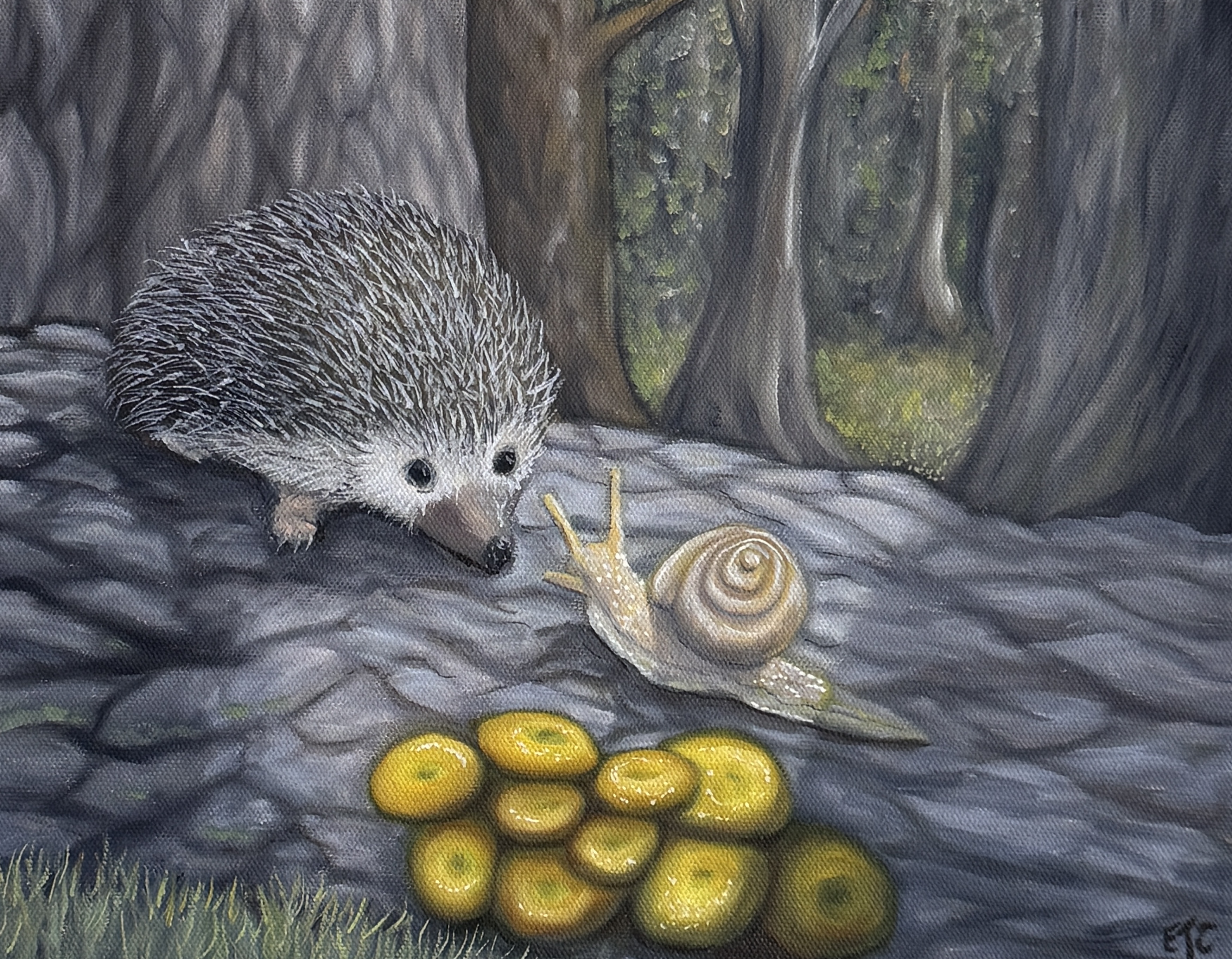 Hedgehog and Snail $600