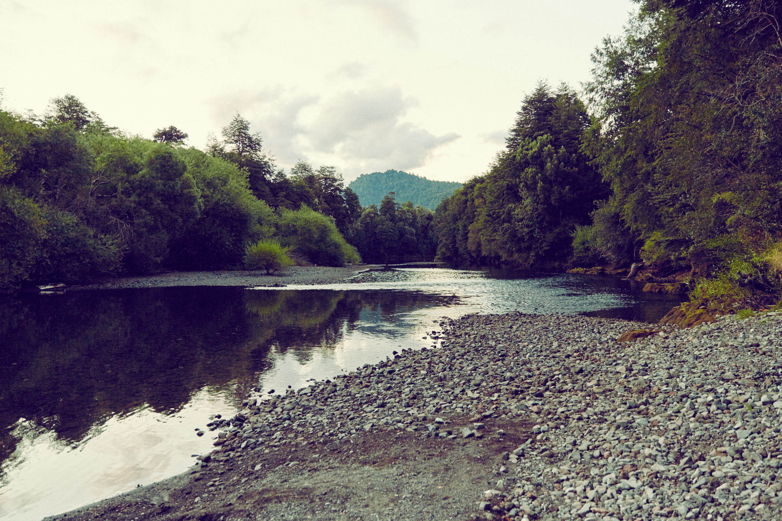 Along the Quebrada Onda Estuary