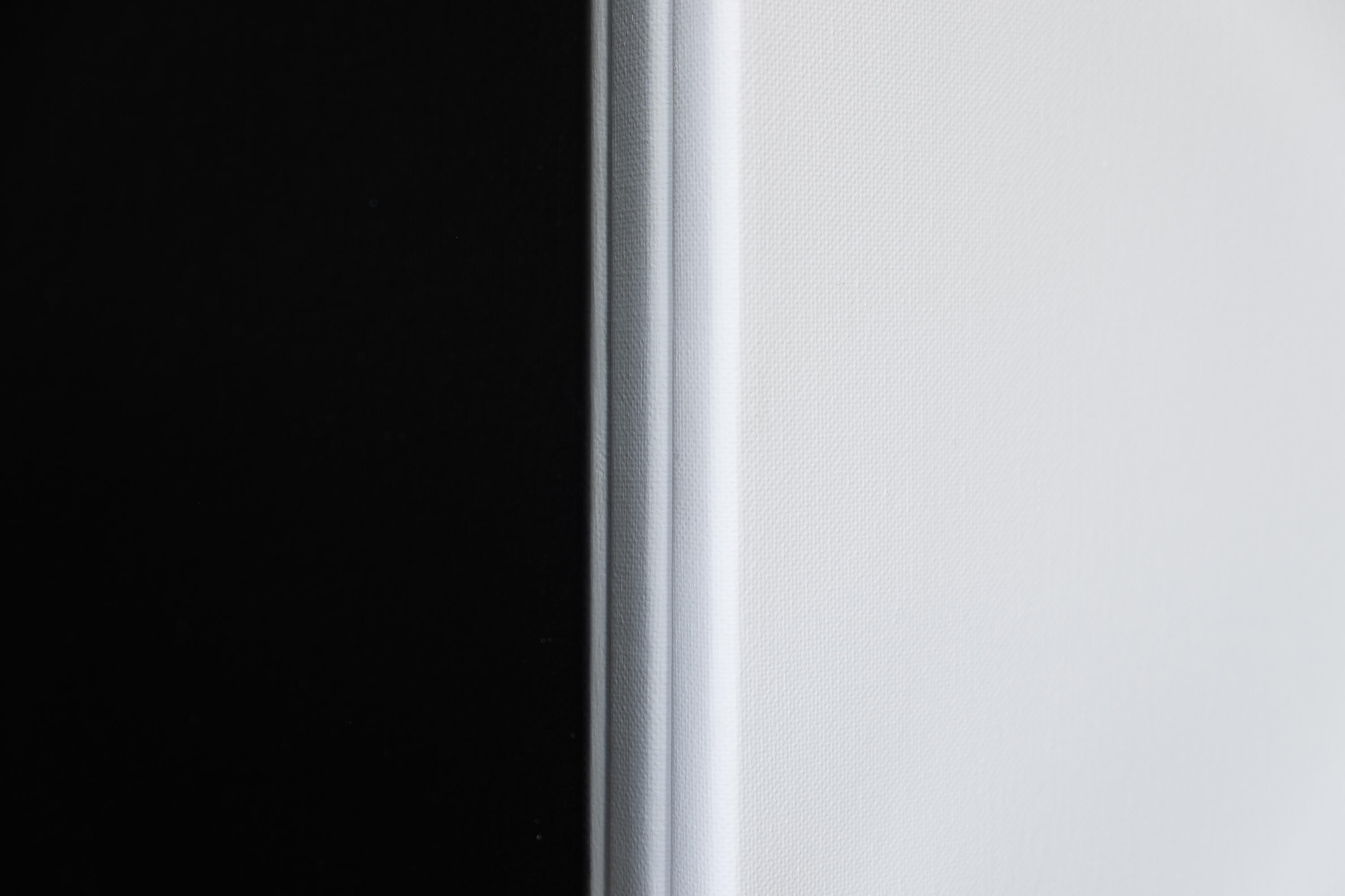 Units 1-3 & 4-6, 2020 (detail)