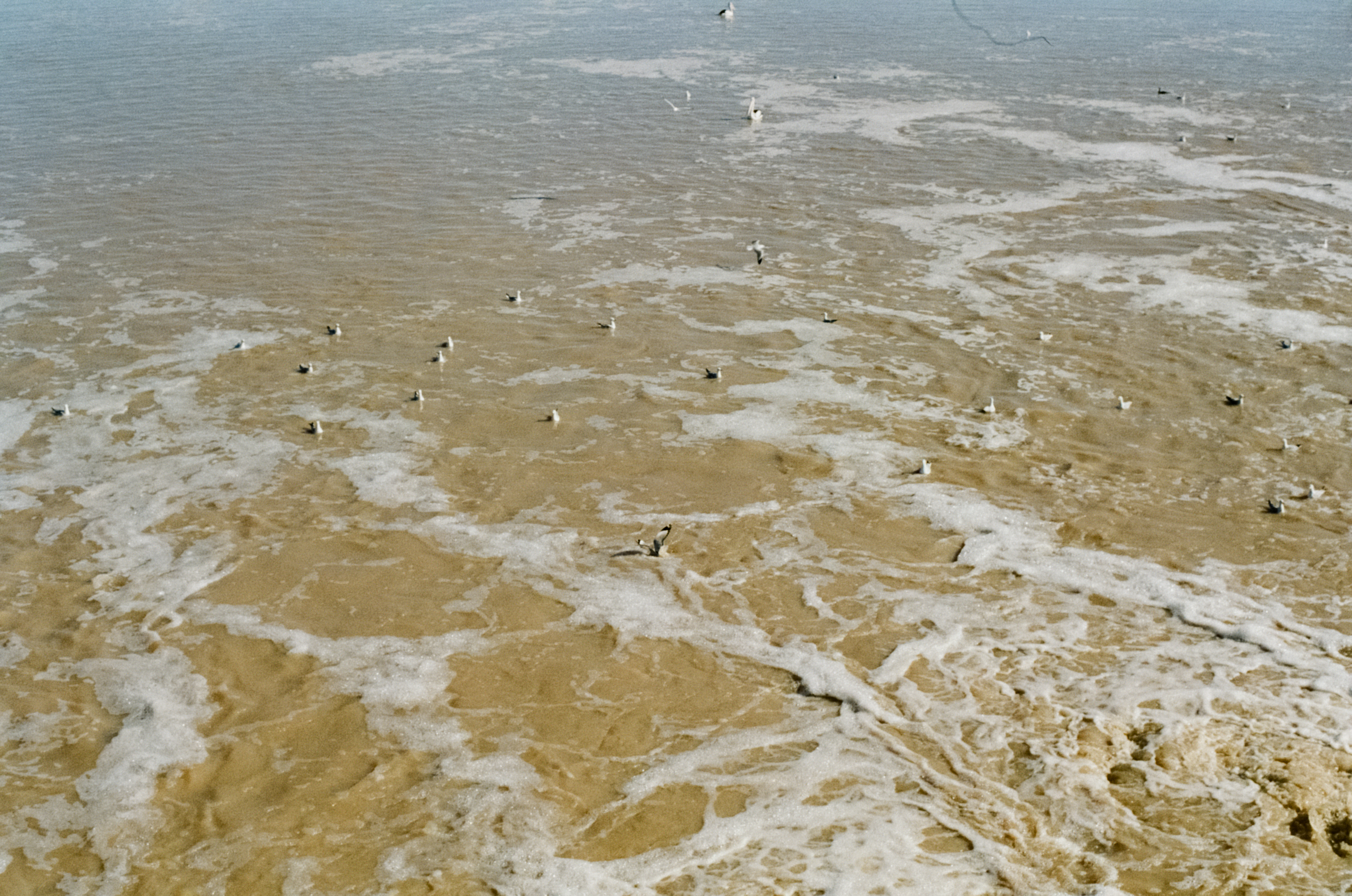 Weir 32, Baaka Darling River, Barkindji Country. Photograph by D'Arcy Newberry-Dupé