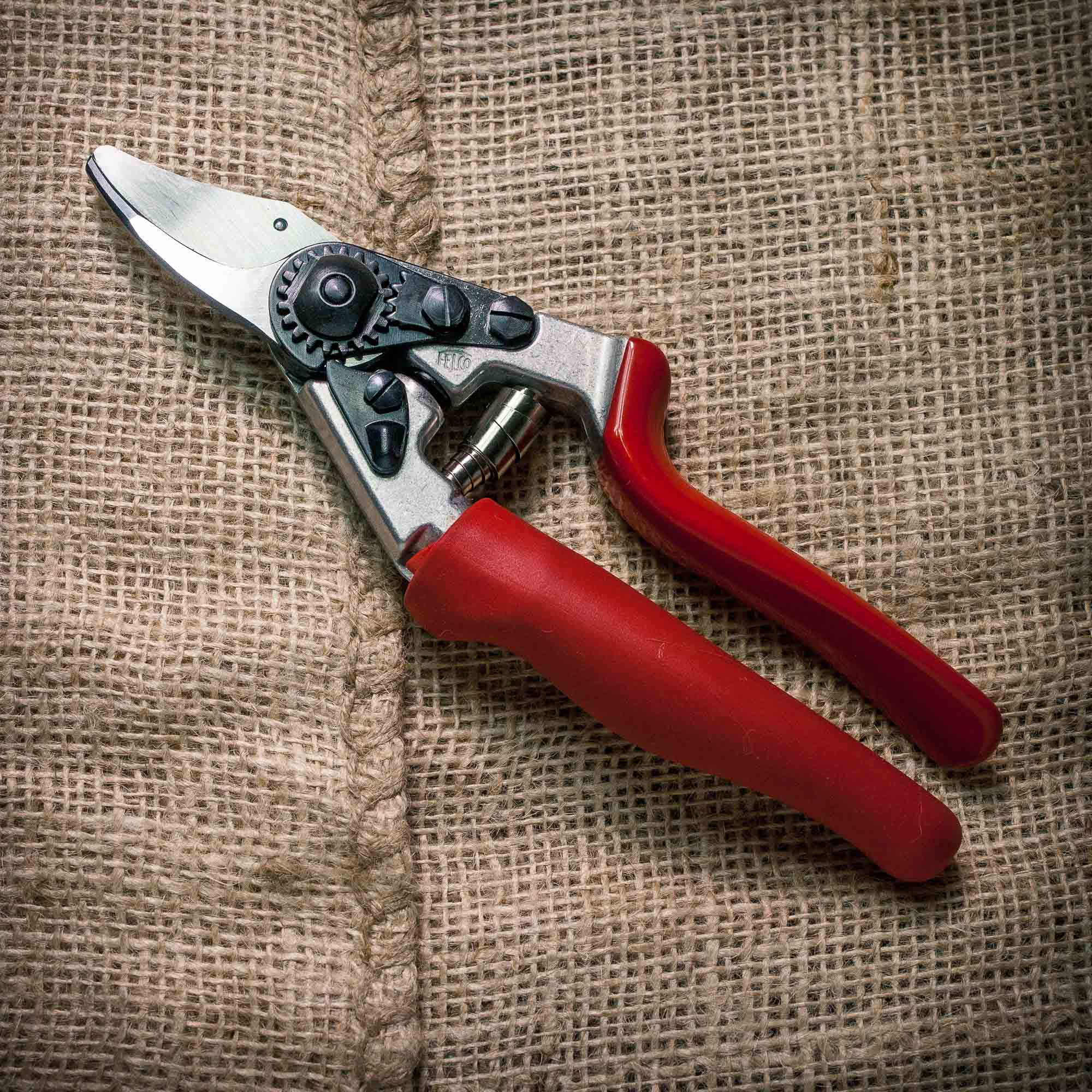 Felco secateurs