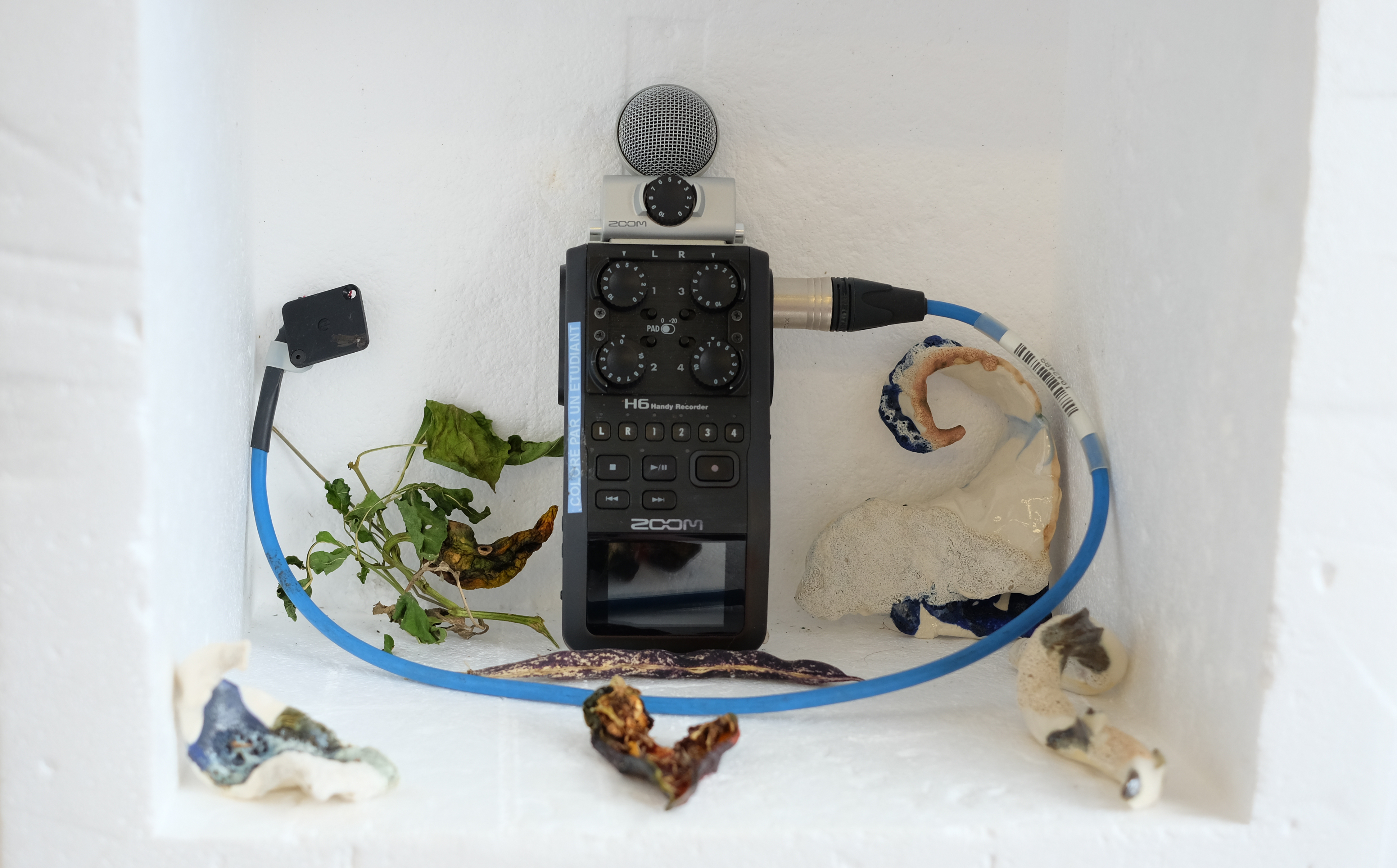 Écologies possibles, détail de l'installation, projet en cours, 2022