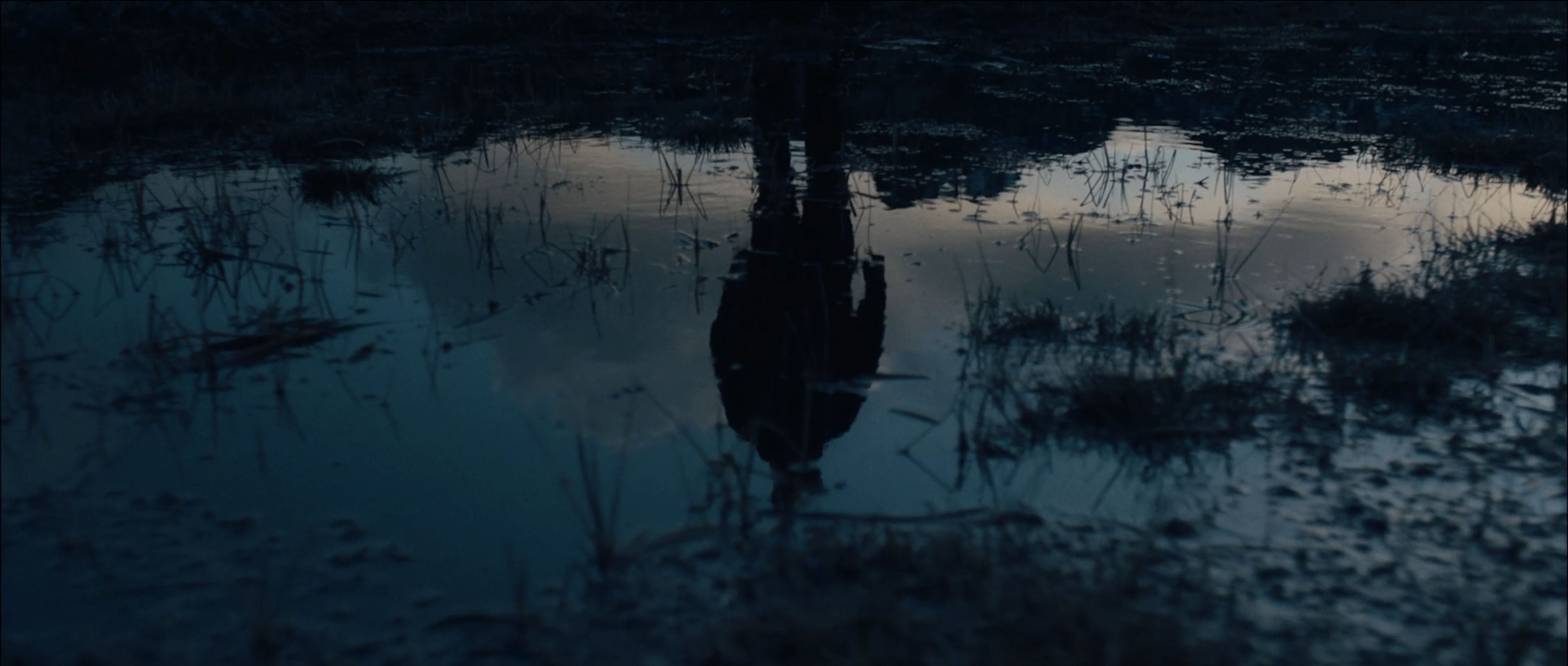Still 17