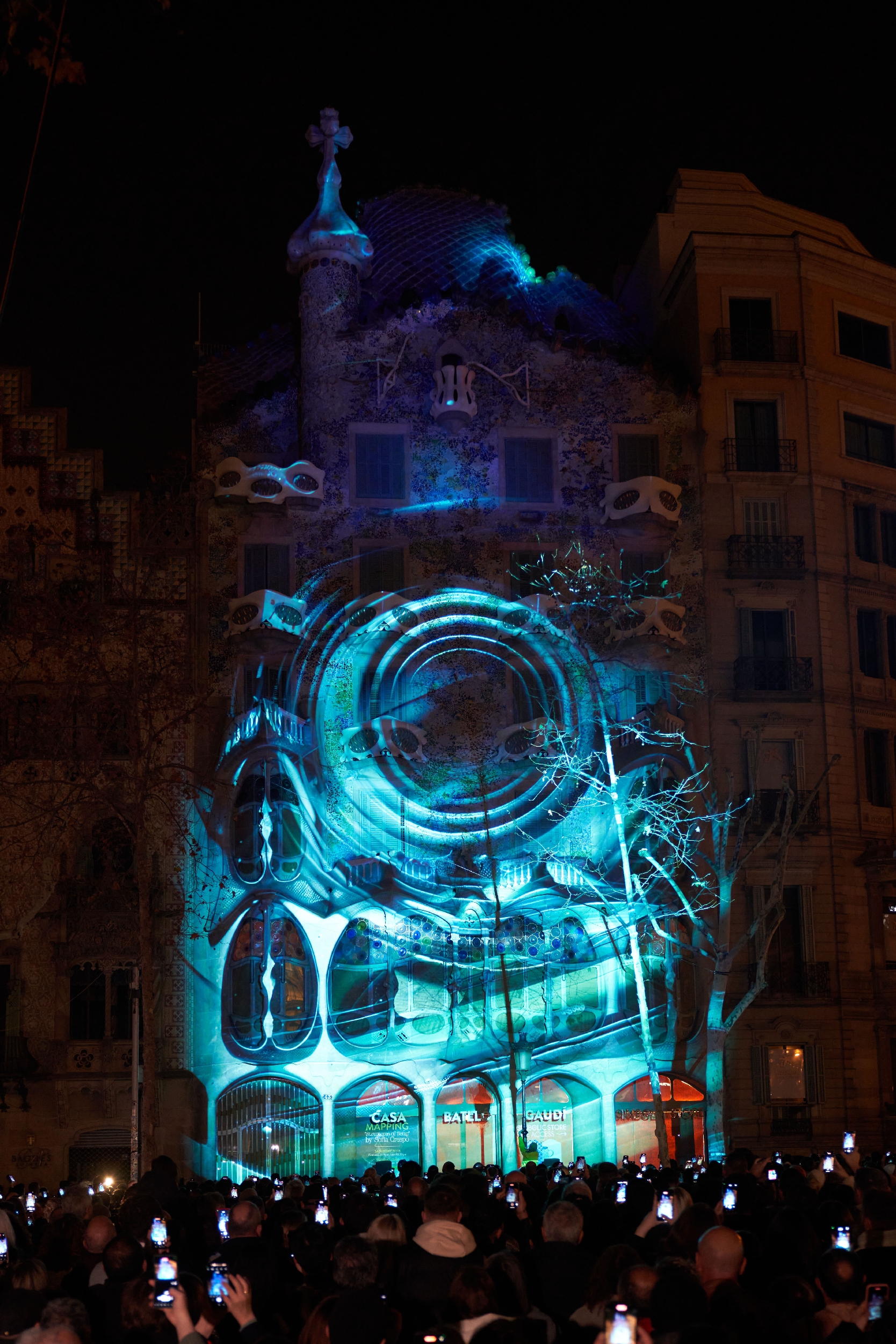 Structures of Being projection on Casa Batlló 4