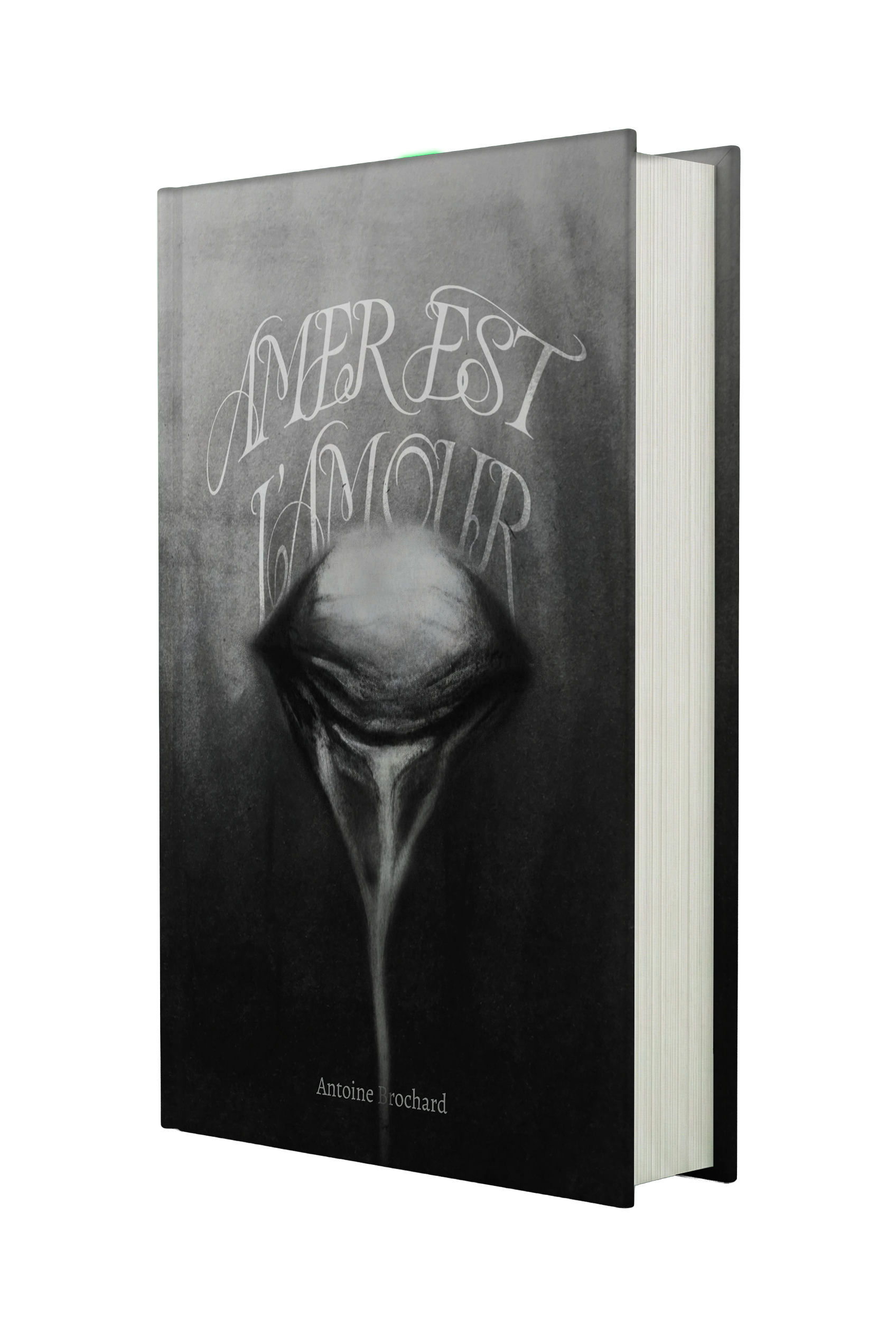 Couverture — Livre 1