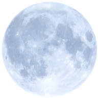 nevirvine.com favicon