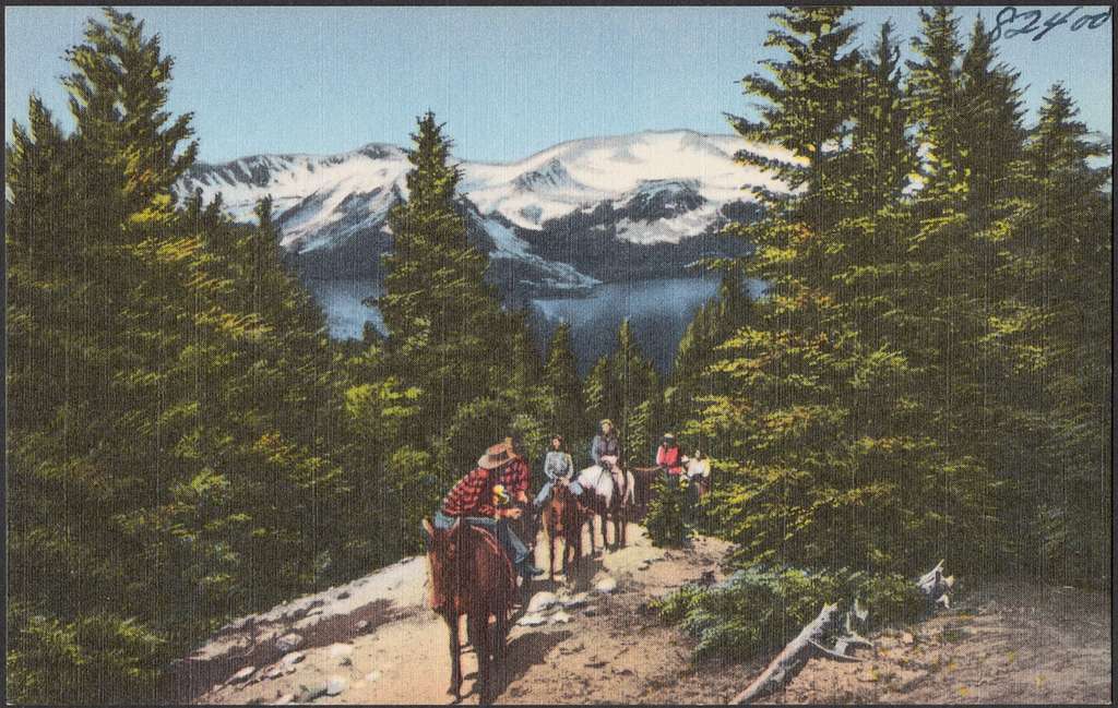 Postcard