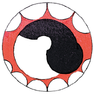 marinacamprubi.com favicon