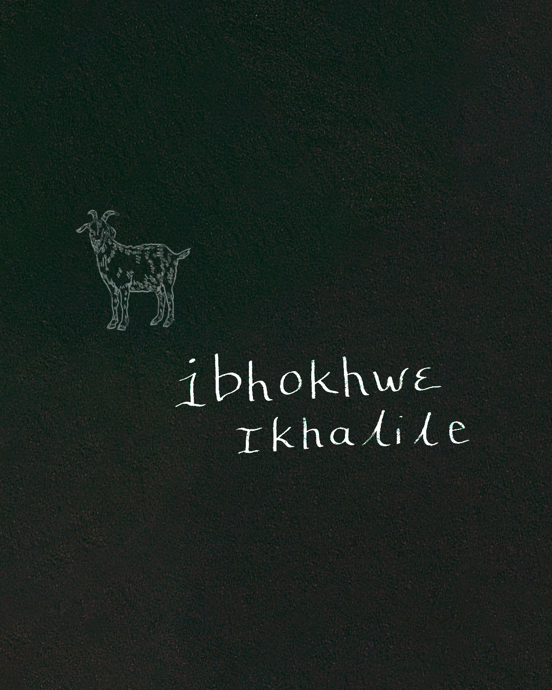 Handwritten word 'ibhokhwe ikhalile' appears under a sketch of a goat on a dark black background.