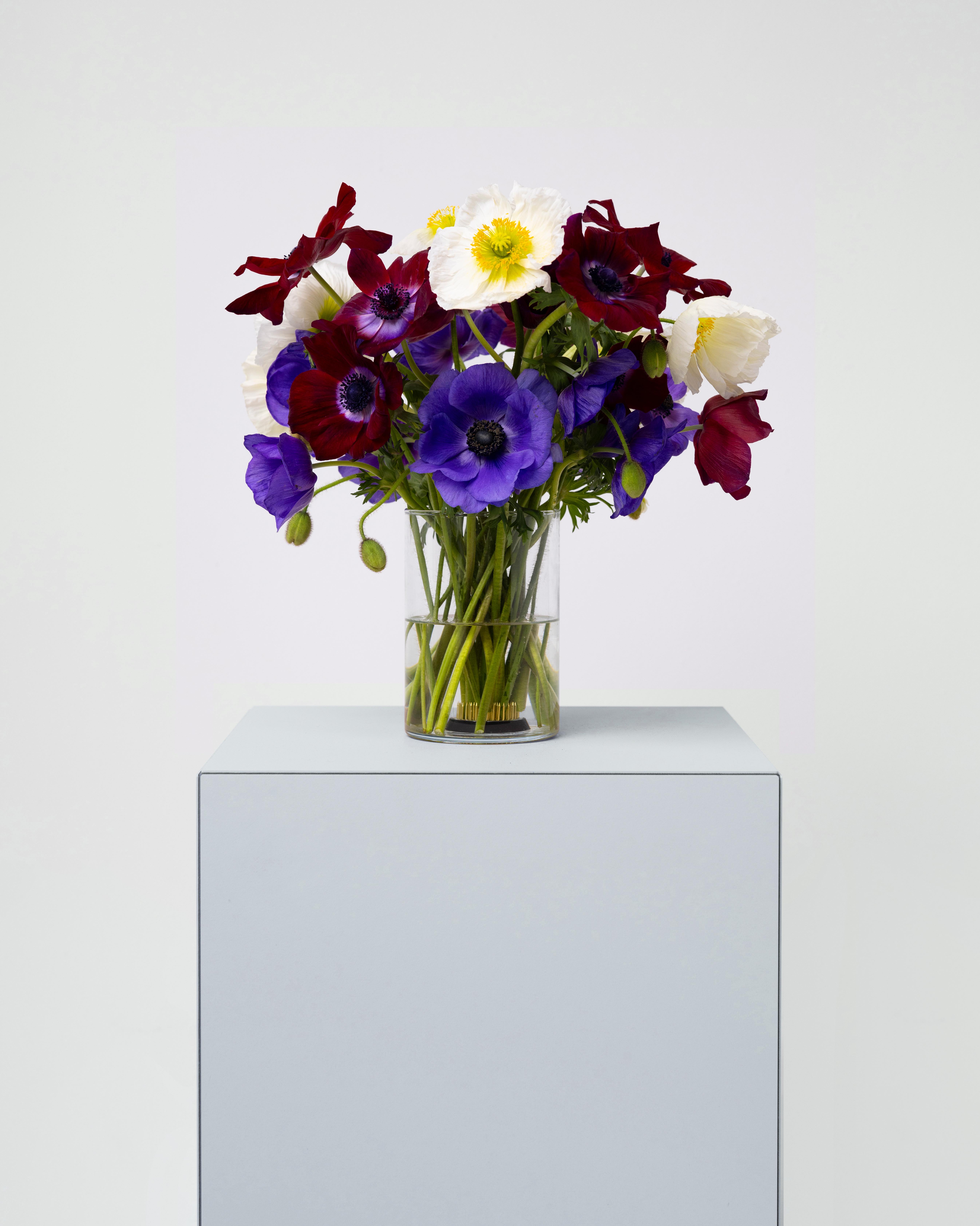 Pedestal Hover