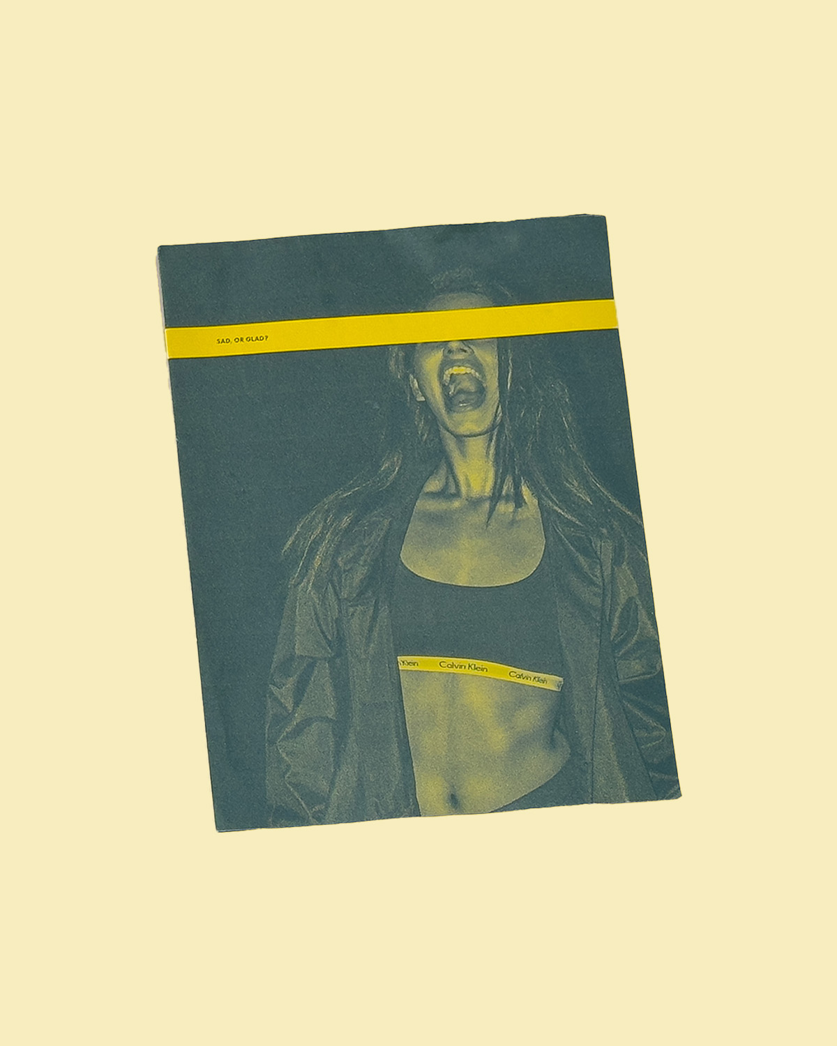 Sad or Glad Foldable