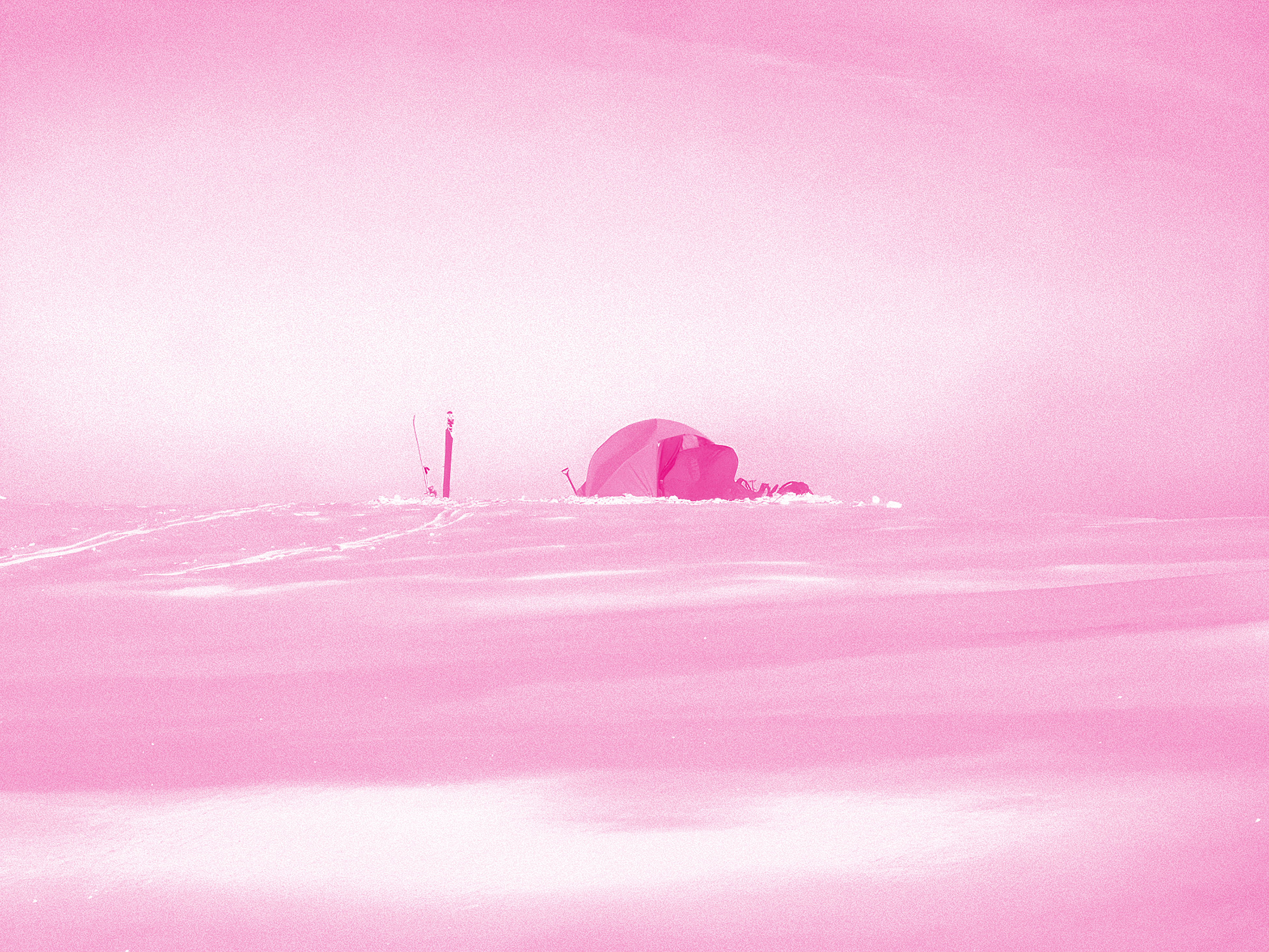 Magenta plate