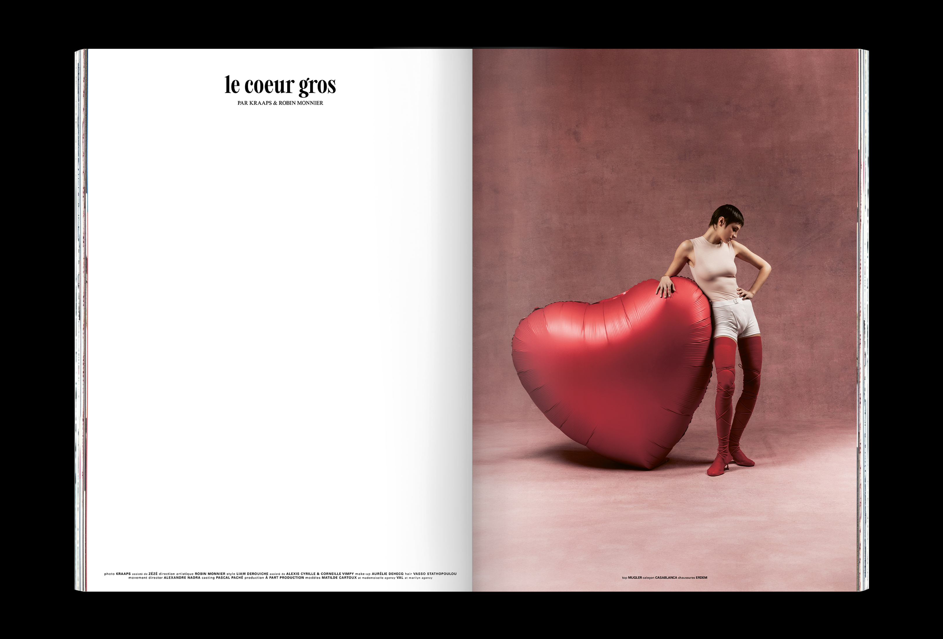 Image associée au projet Le Coeur Gros