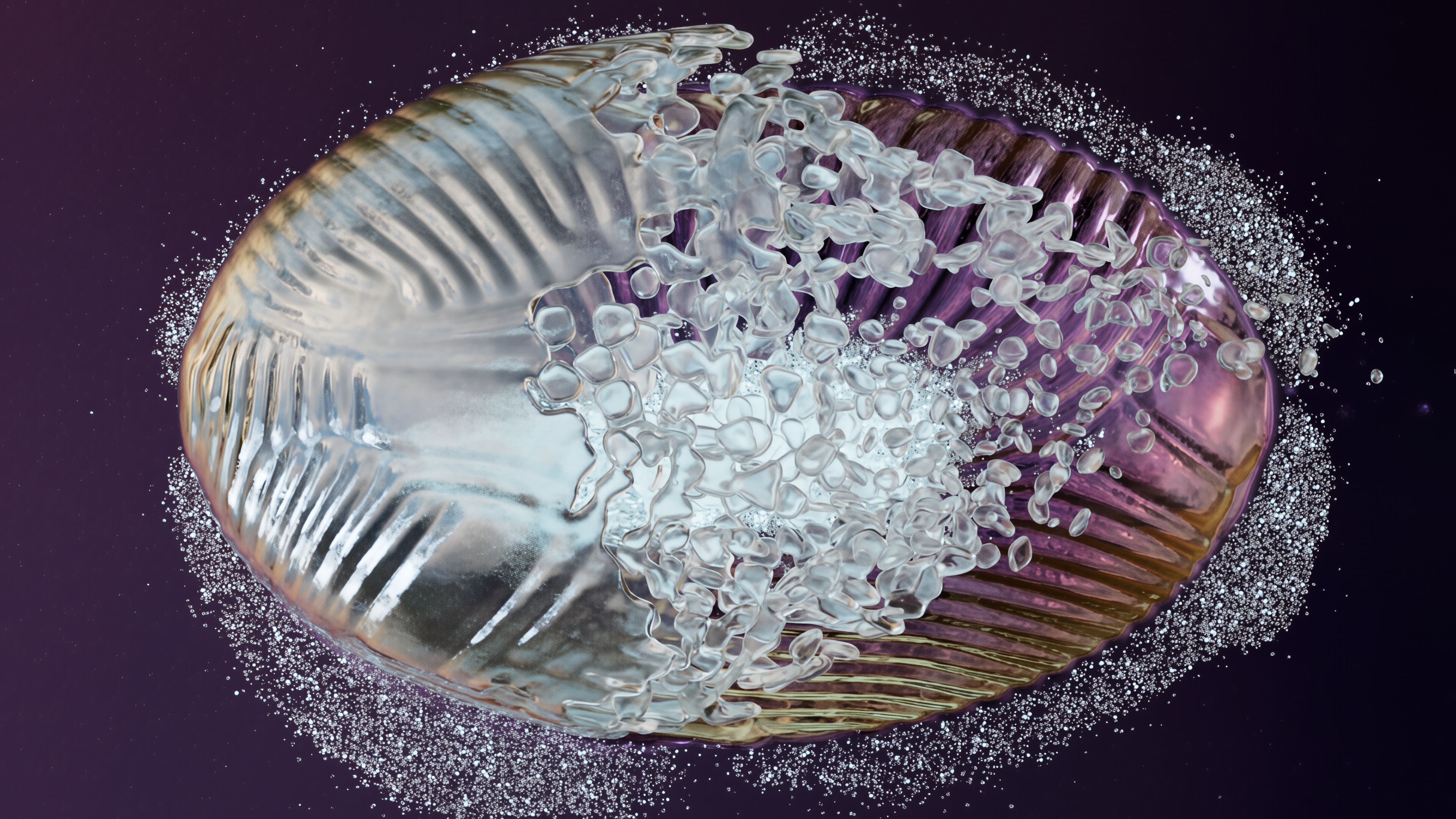 Seed system study 01