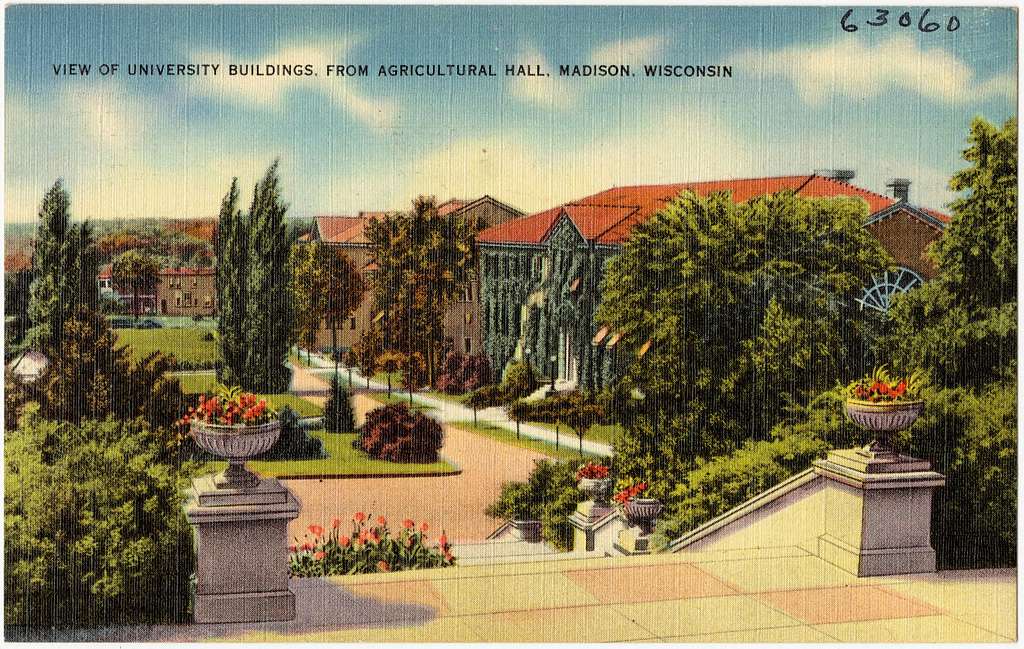 Postcard