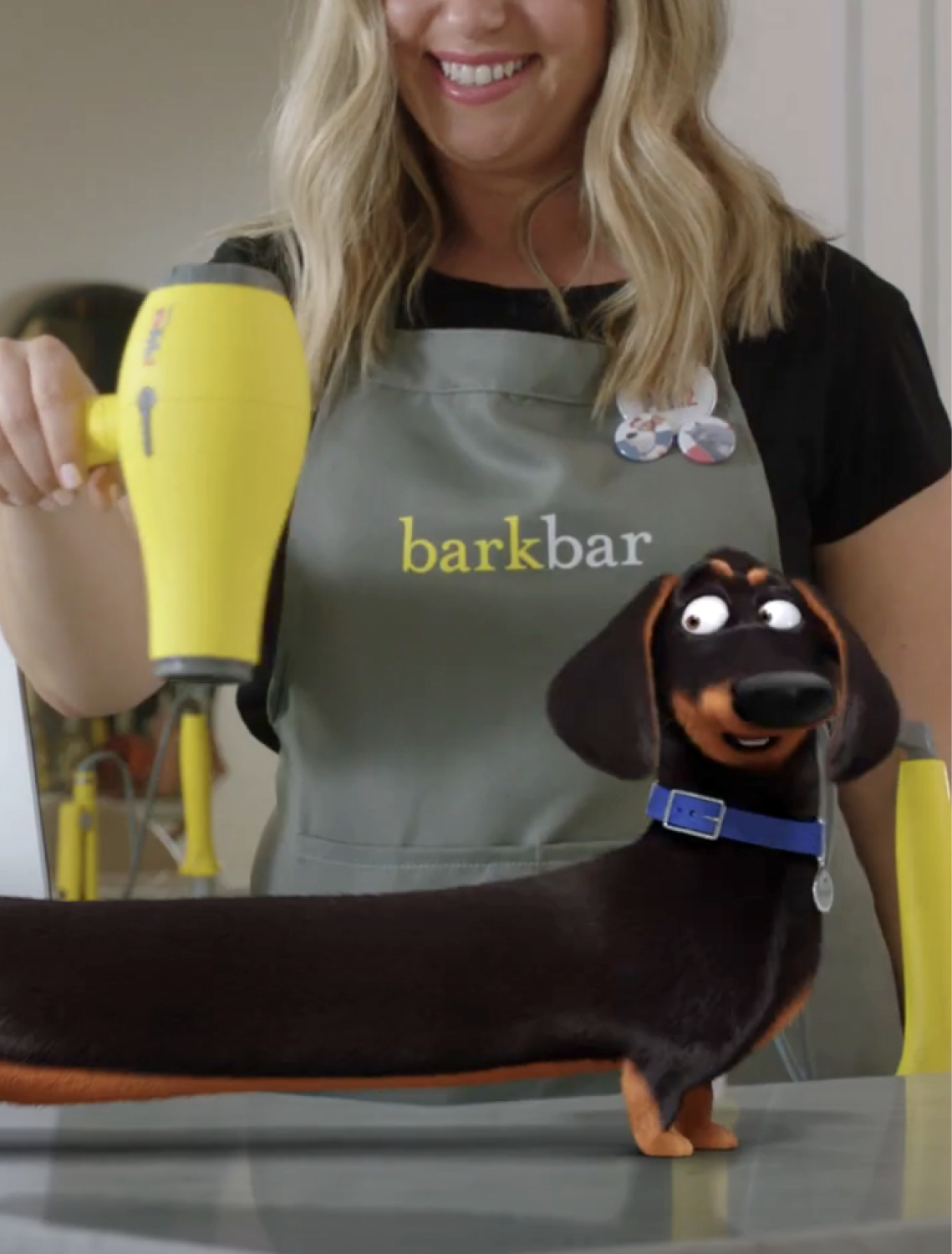 Barkbar: Pets 2 x Drybar