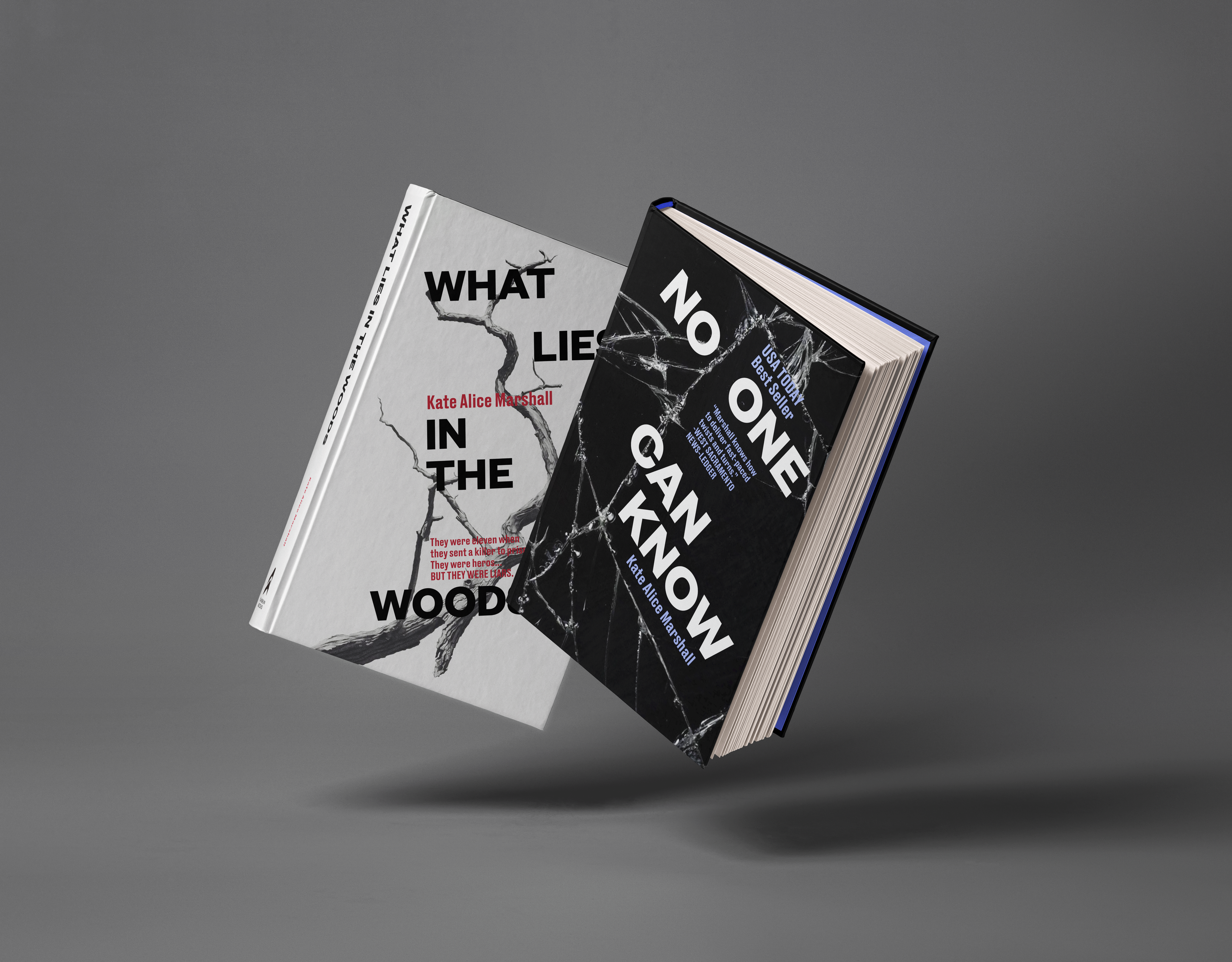 Flatiron Book Thumbnail