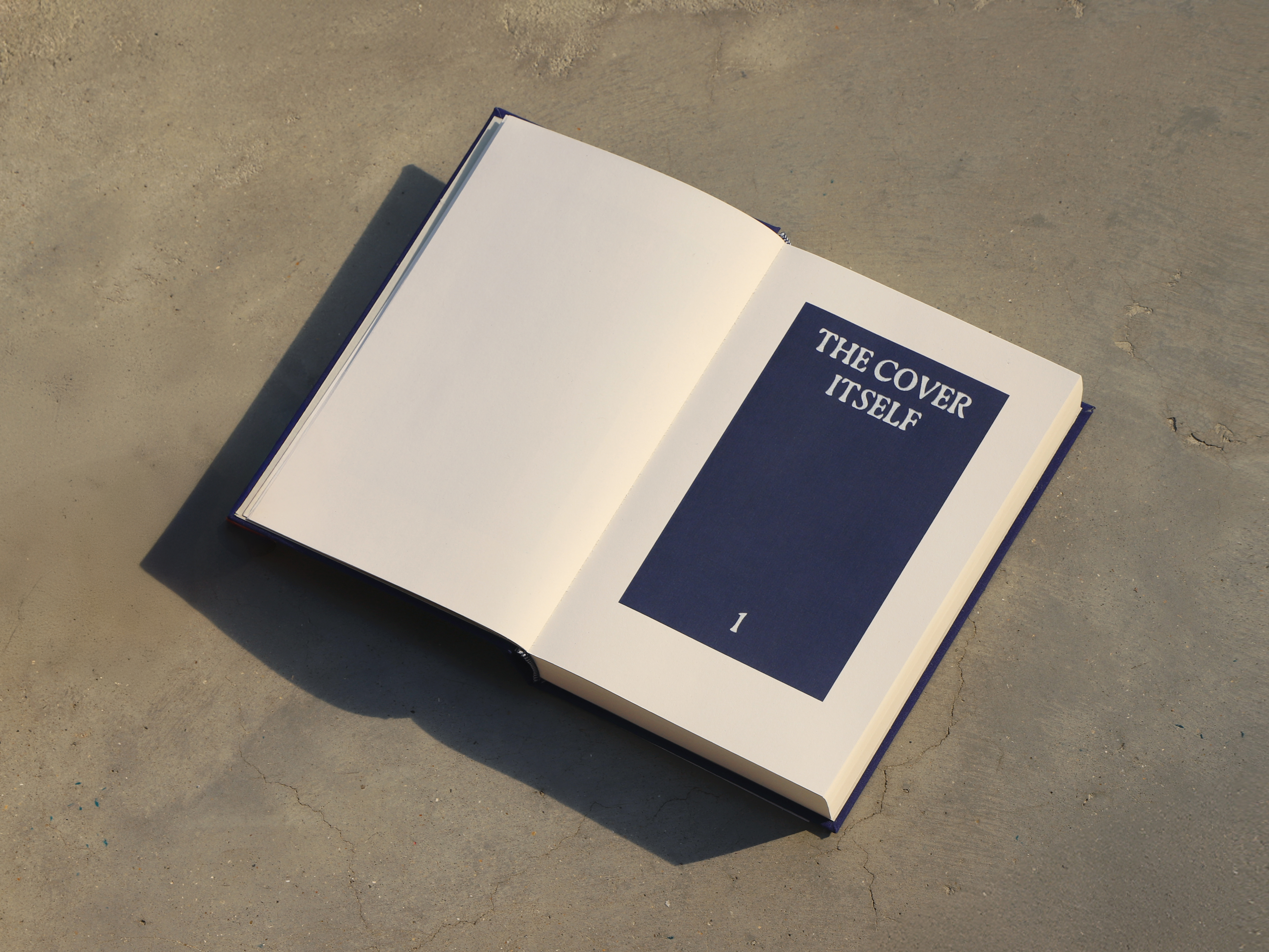 The cover itself 3