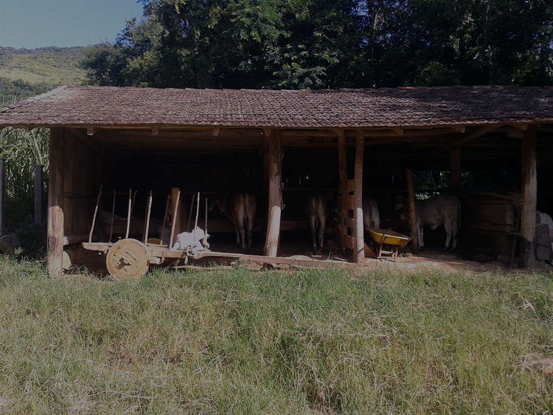 Imagem2