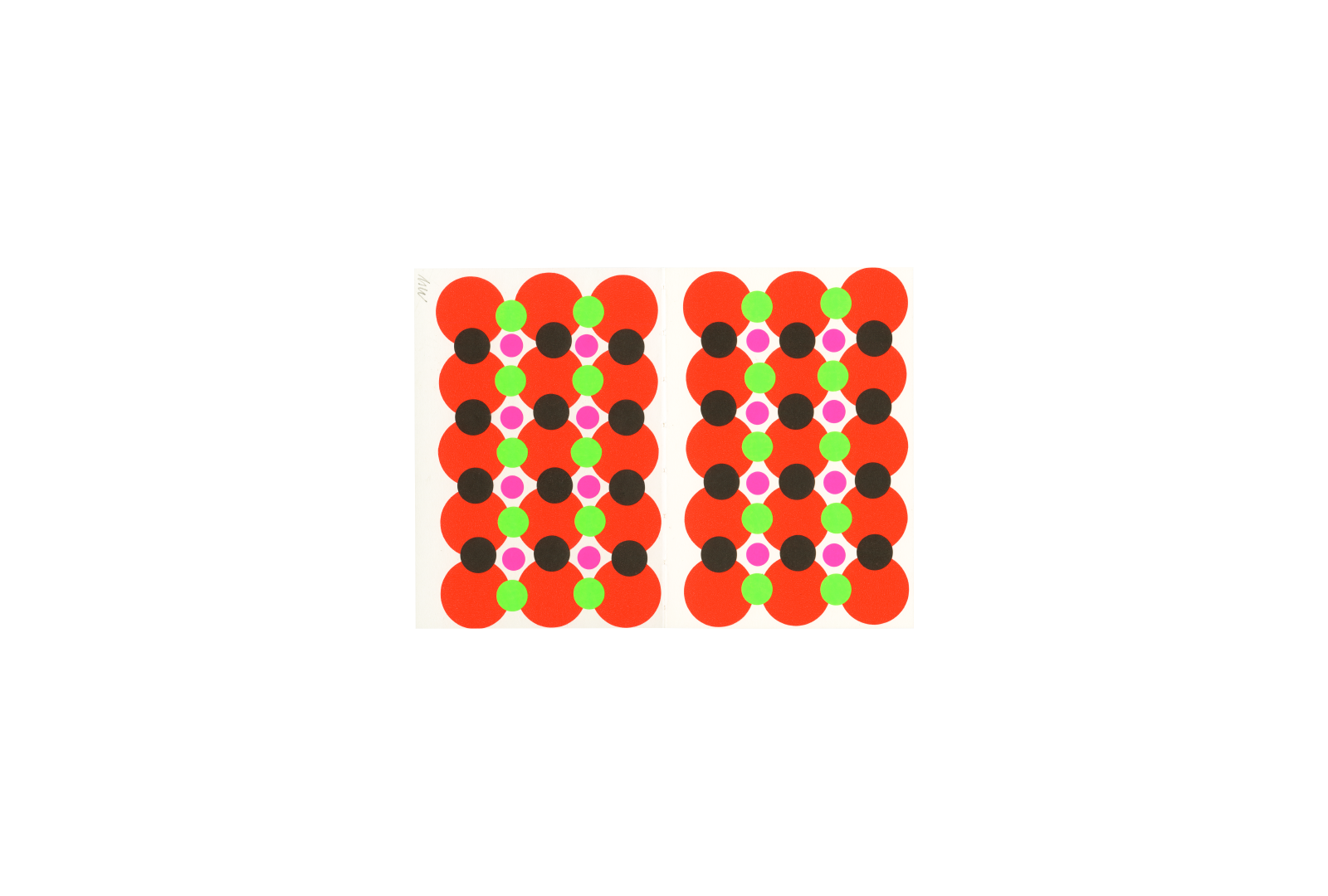 Kabosu 4