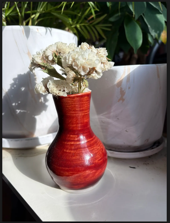 Primary artwork: Shania Fu