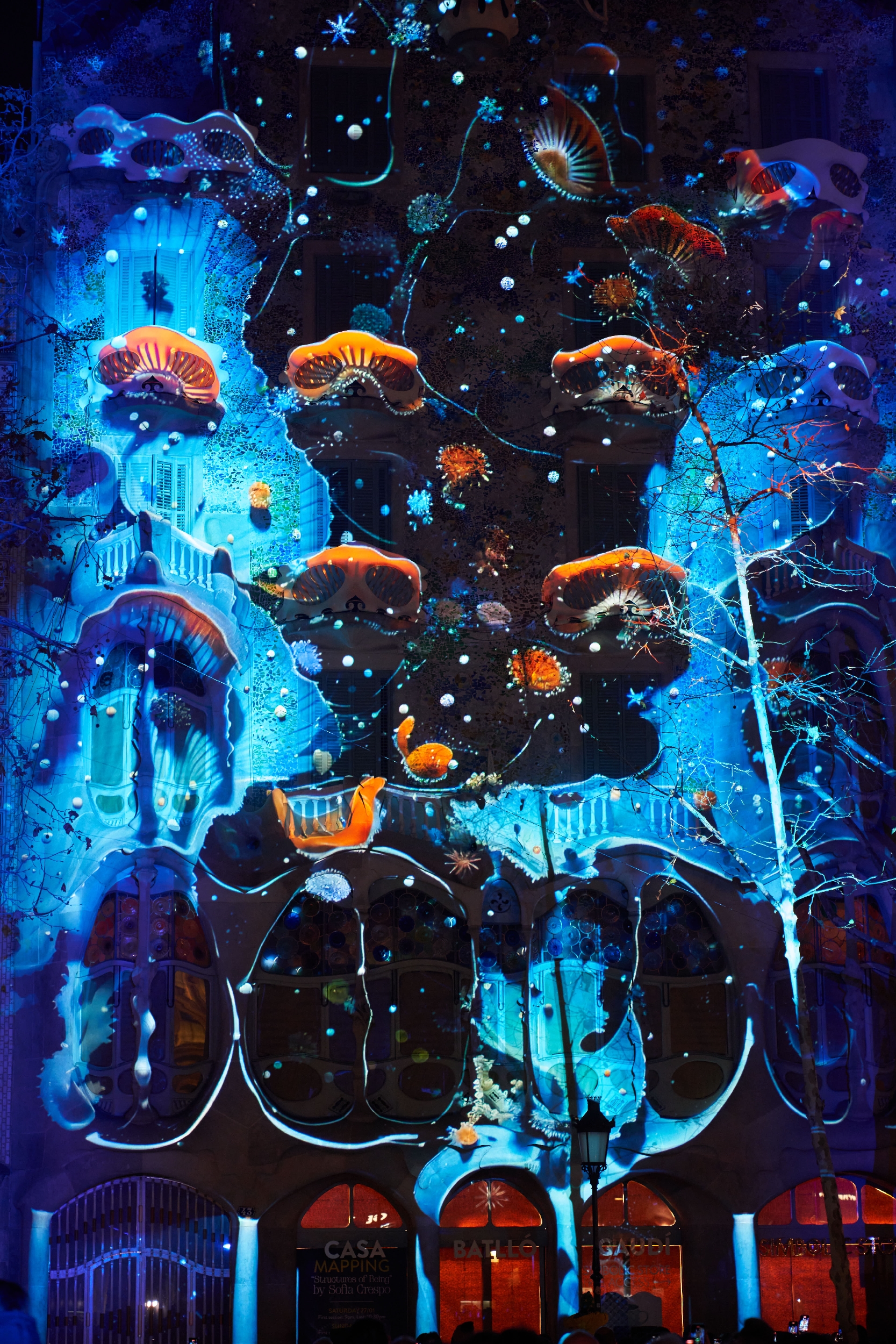 Structures of Being projection on Casa Batlló 1