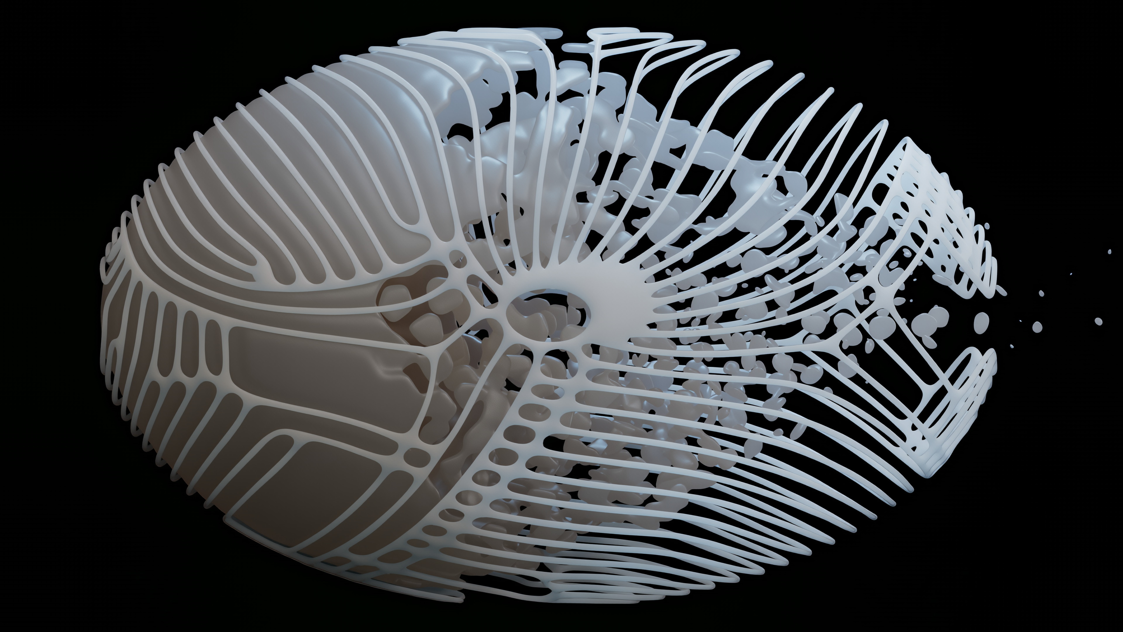 Seed system study 04