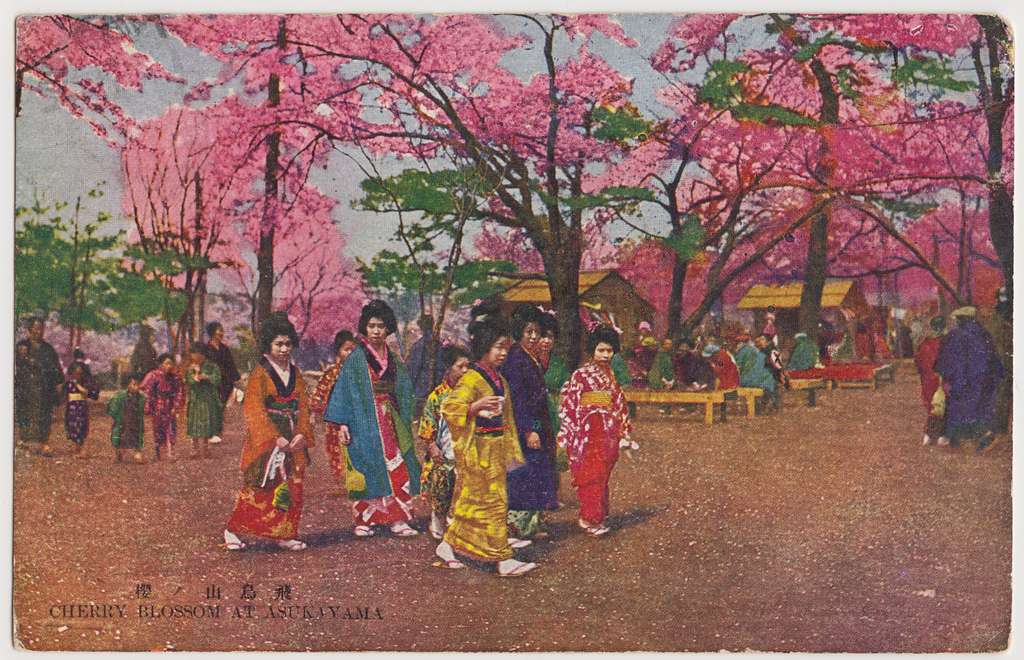 Postcard