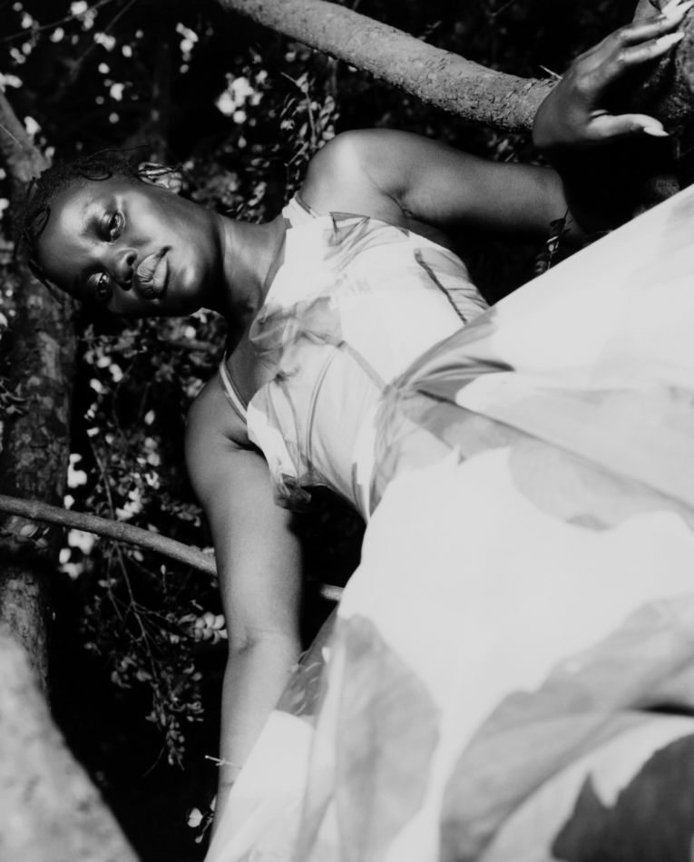 Angeer Amol image 20