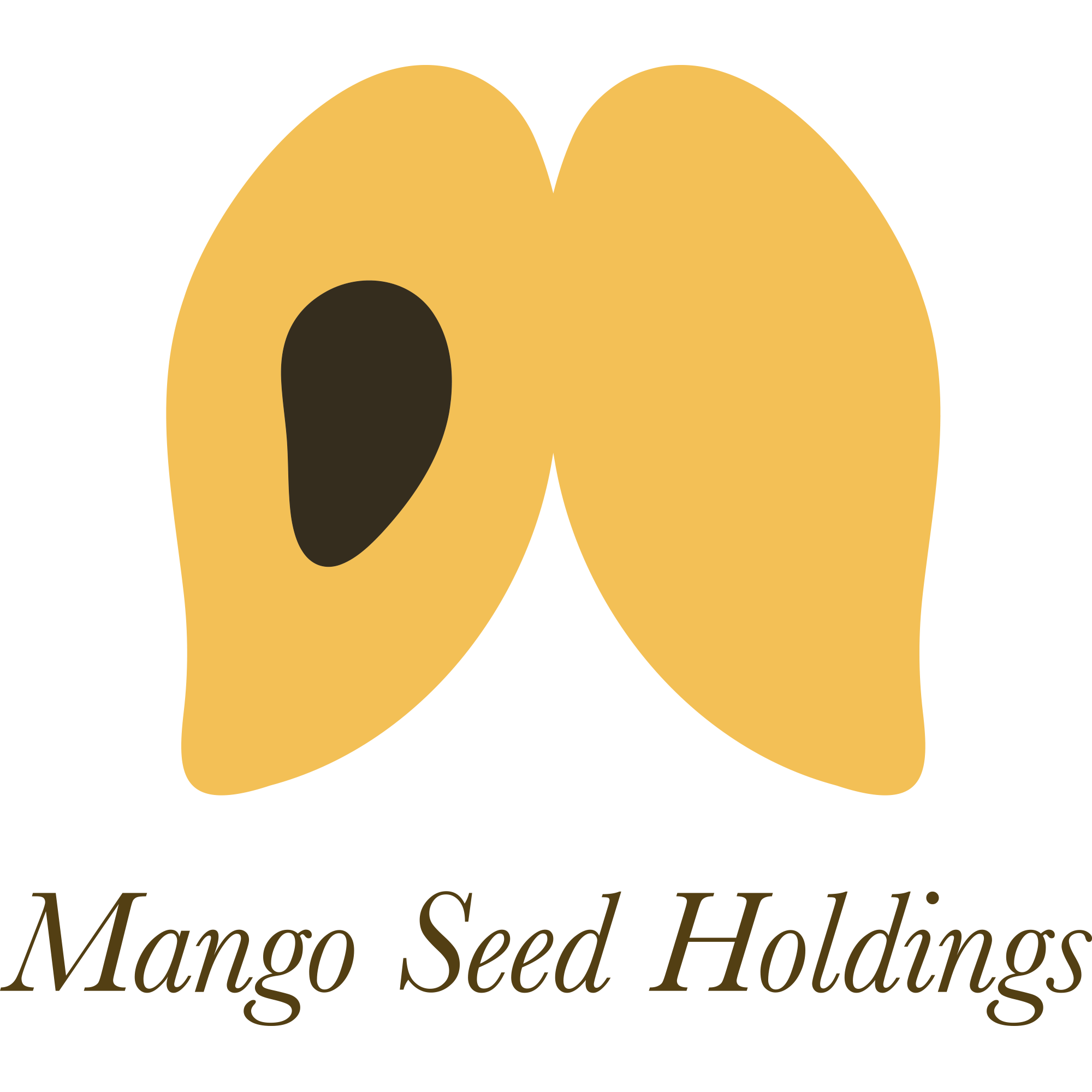 Mango Seed Holdings