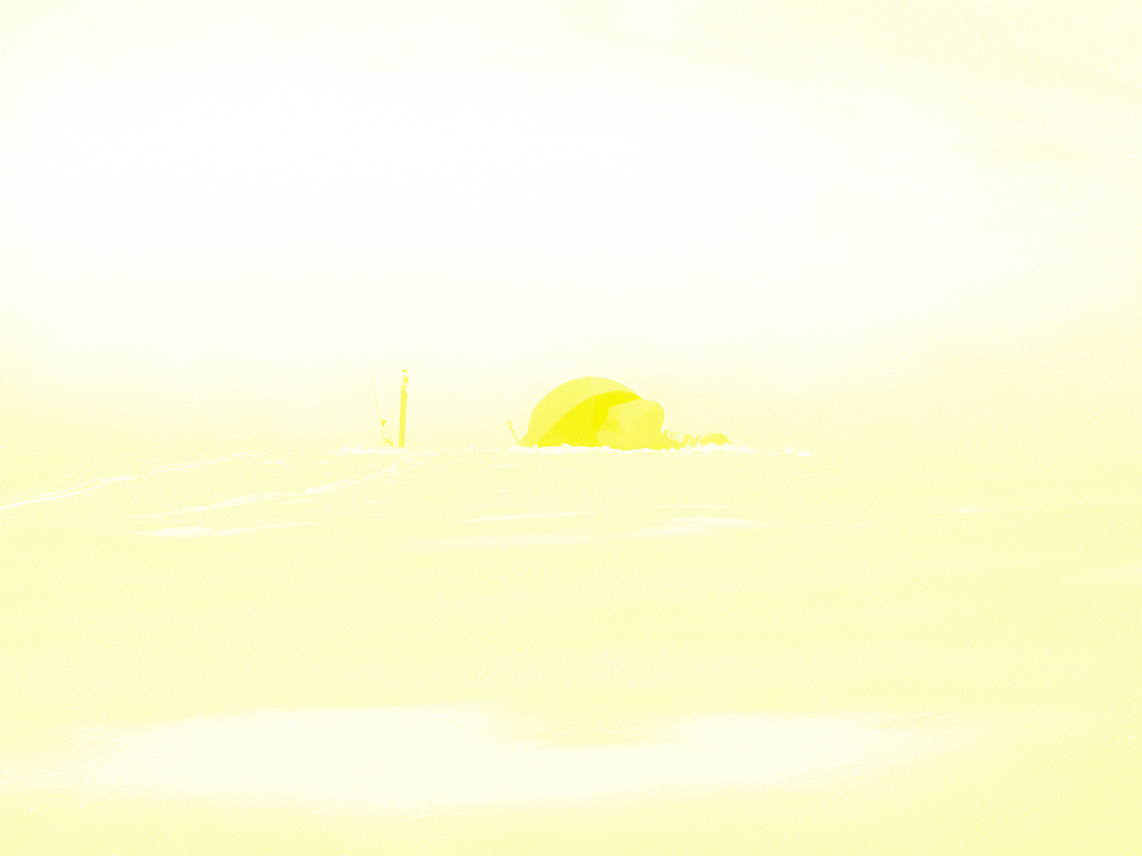 Yellow plate