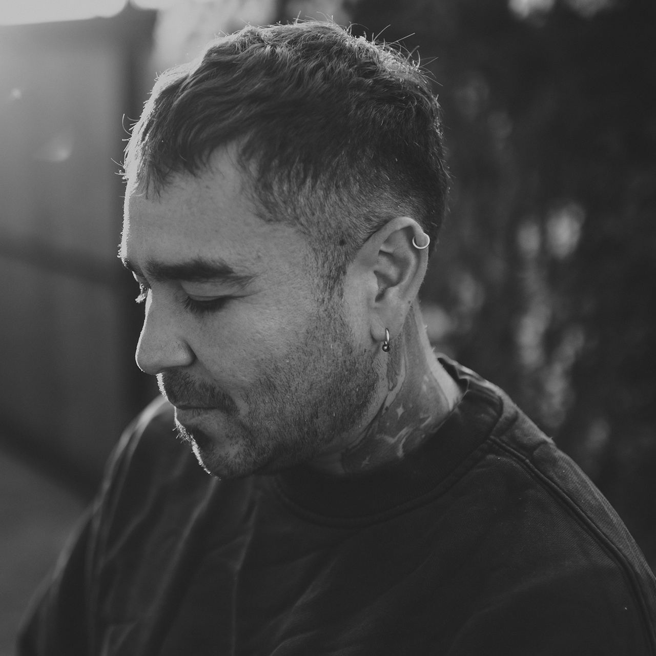 Retrato Perro Guacho