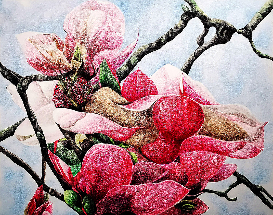 Colored pencil drawing titled 'Out of Flower VI' by Carla Golder