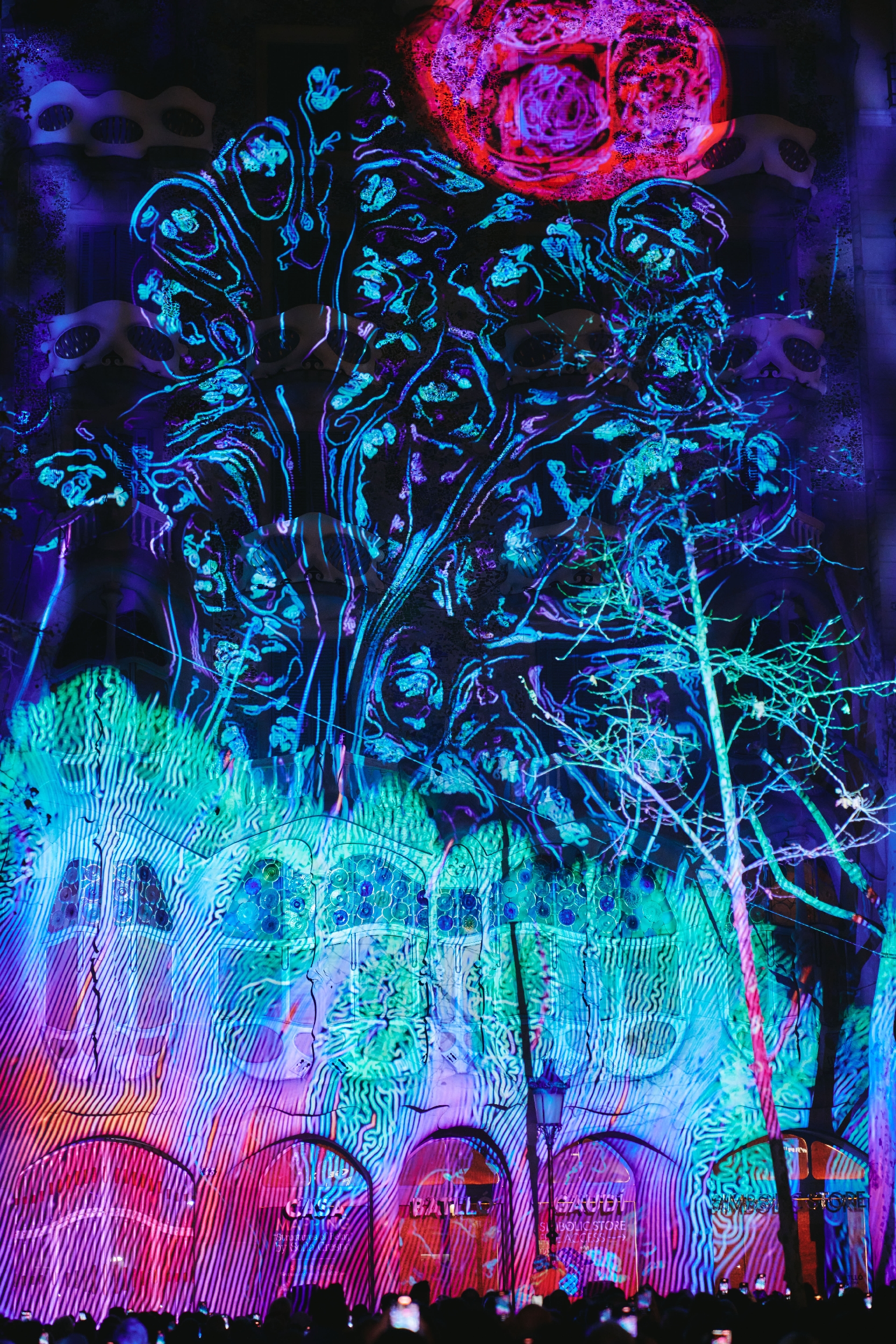 Structures of Being projection on Casa Batlló 5