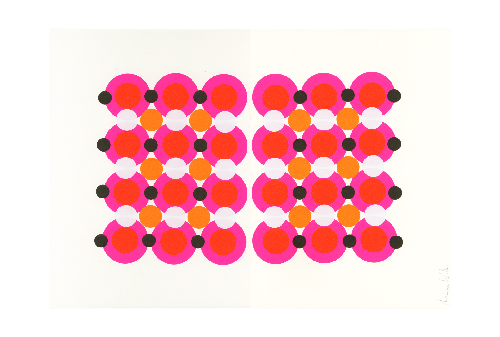 Oroblanco 8